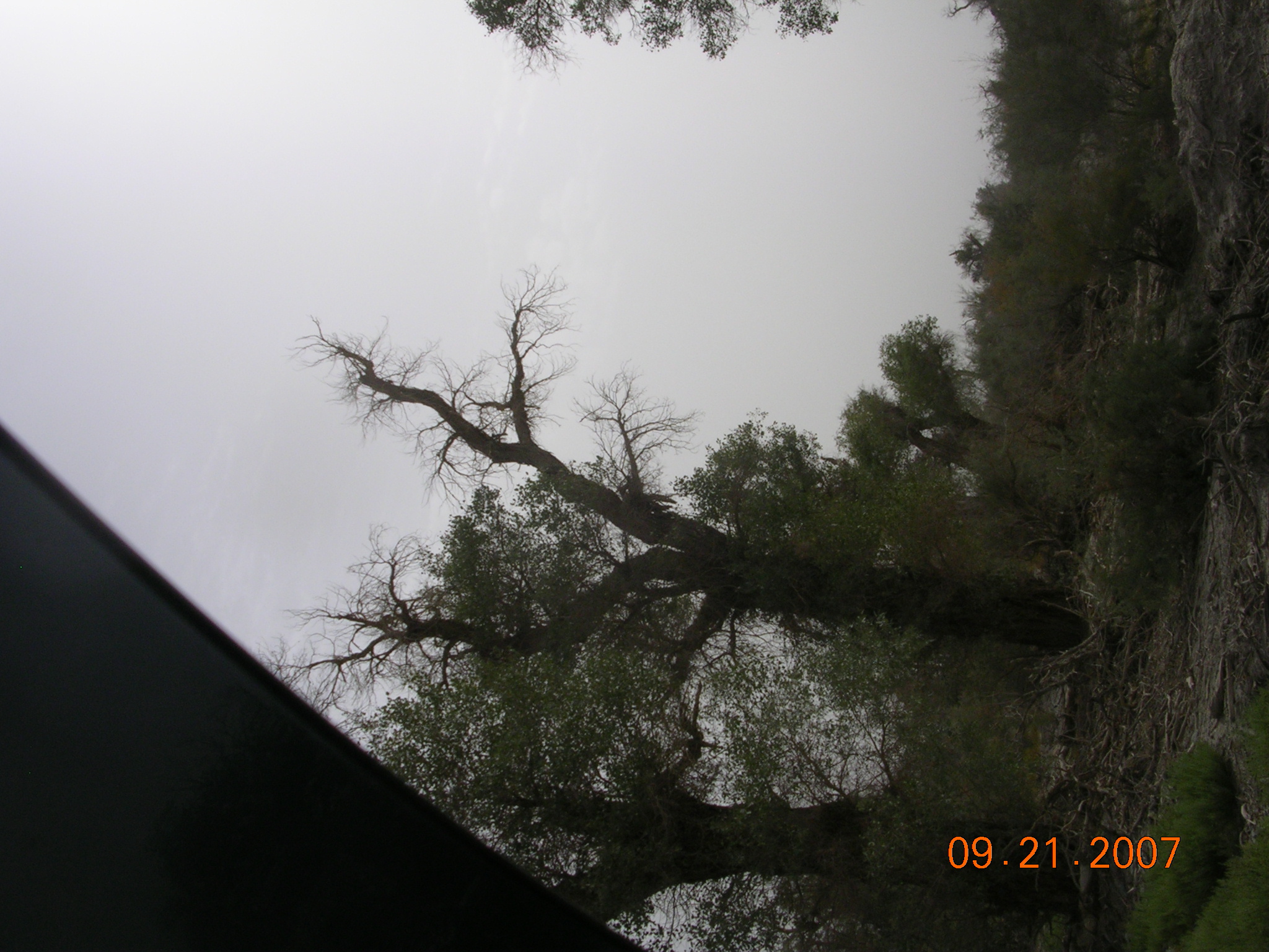 2007-Picture07-09-21B 232.jpg