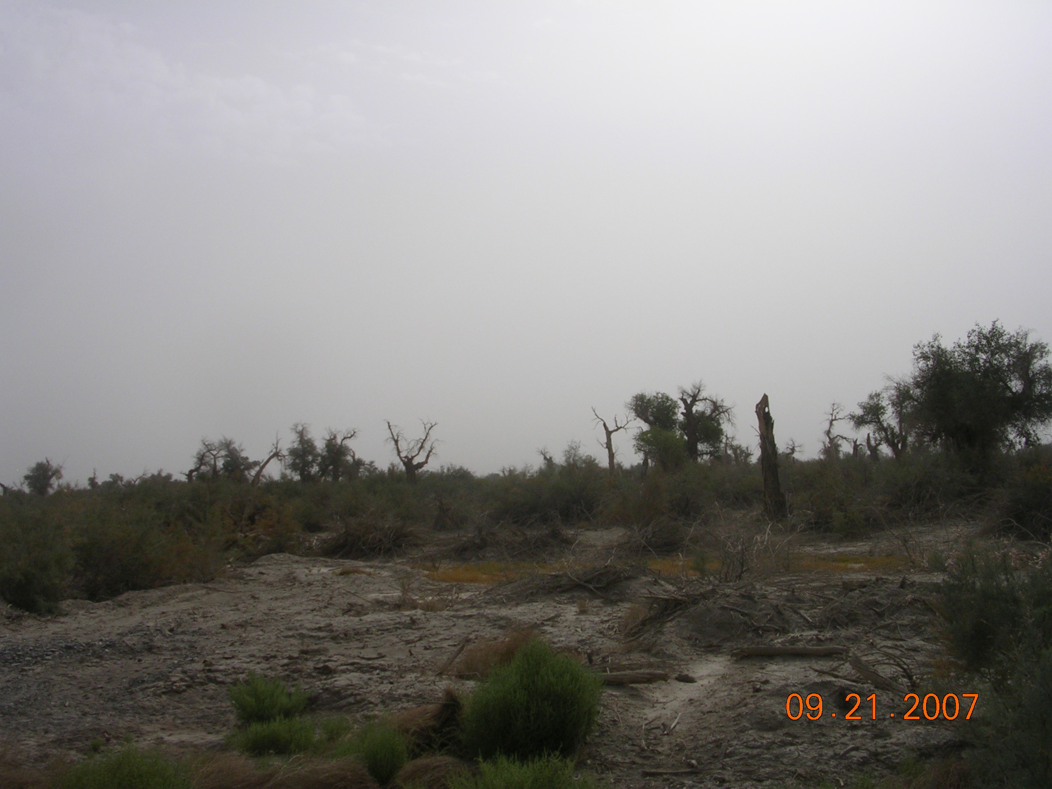 2007-Picture07-09-21B 231.jpg