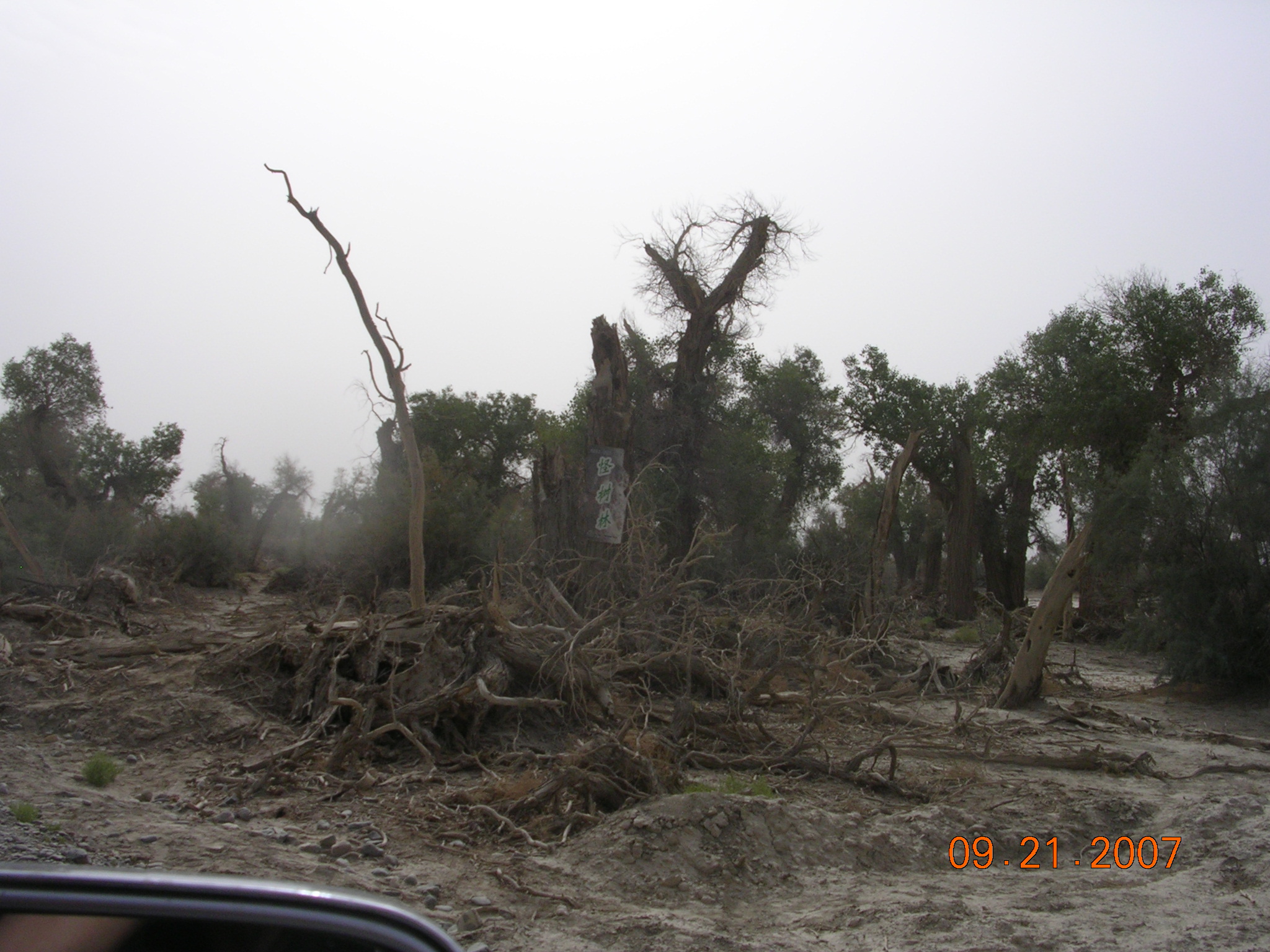 2007-Picture07-09-21B 223.jpg