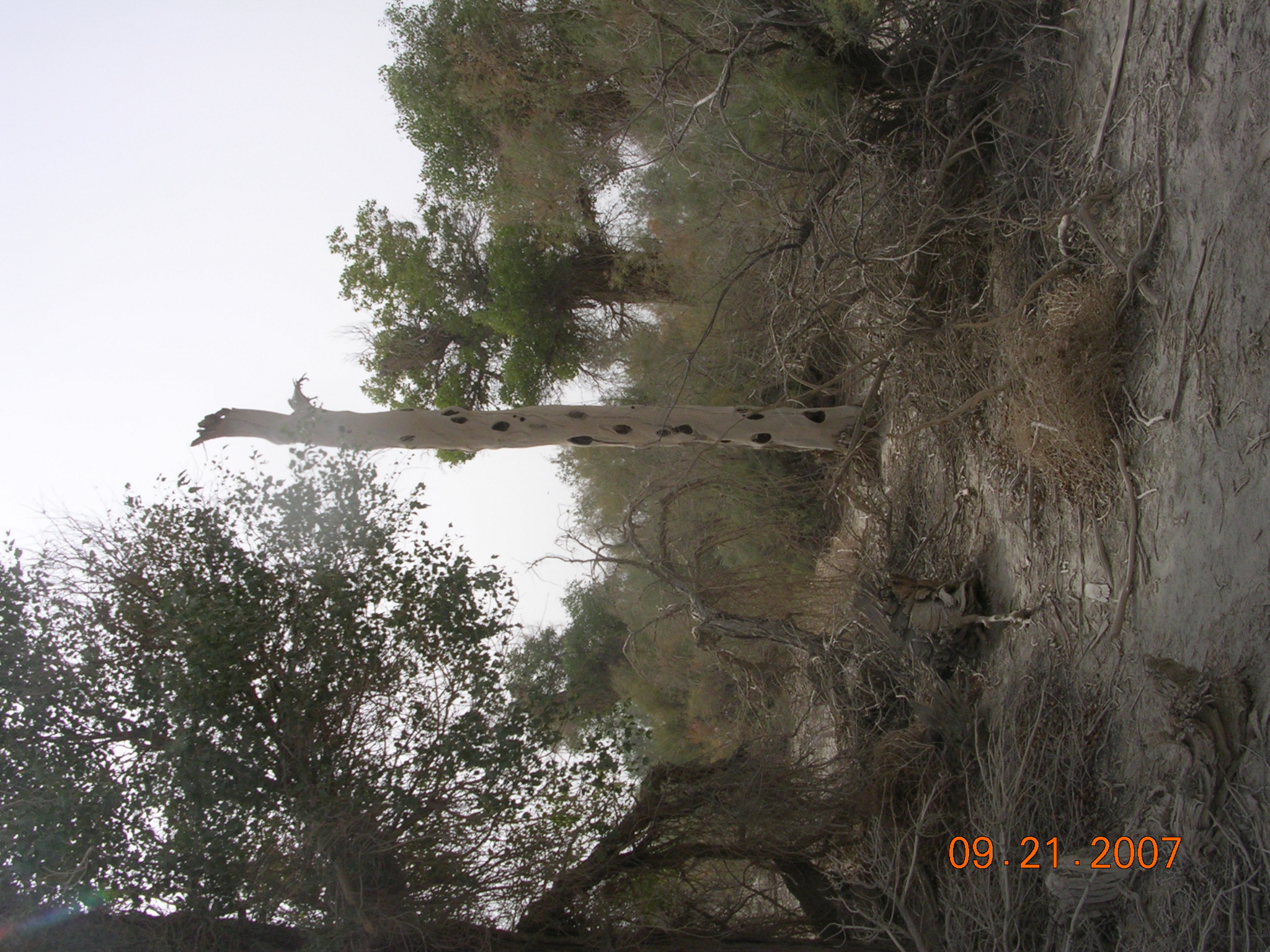 2007-Picture07-09-21B 292.jpg