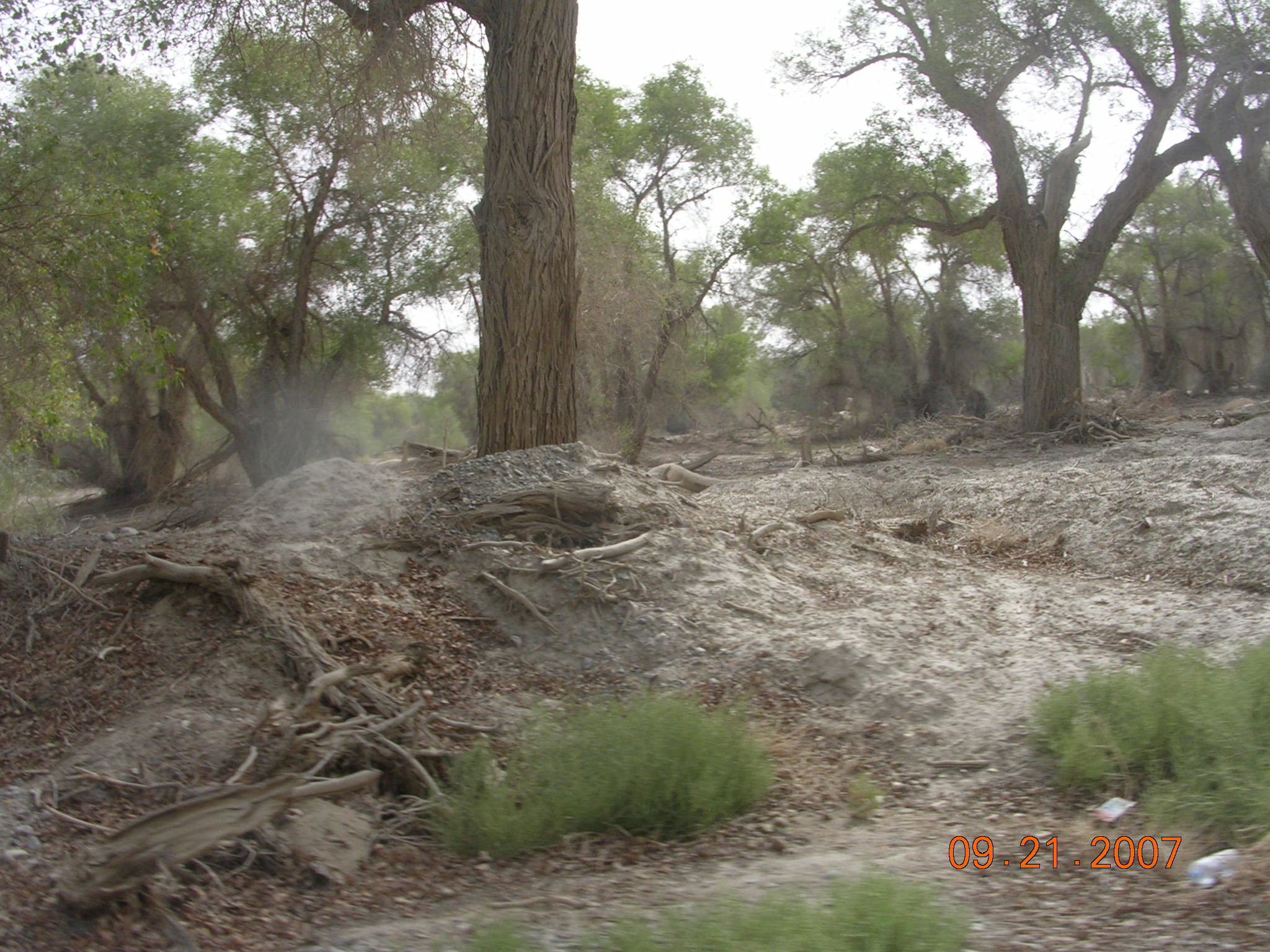 2007-Picture07-09-21B 276.jpg