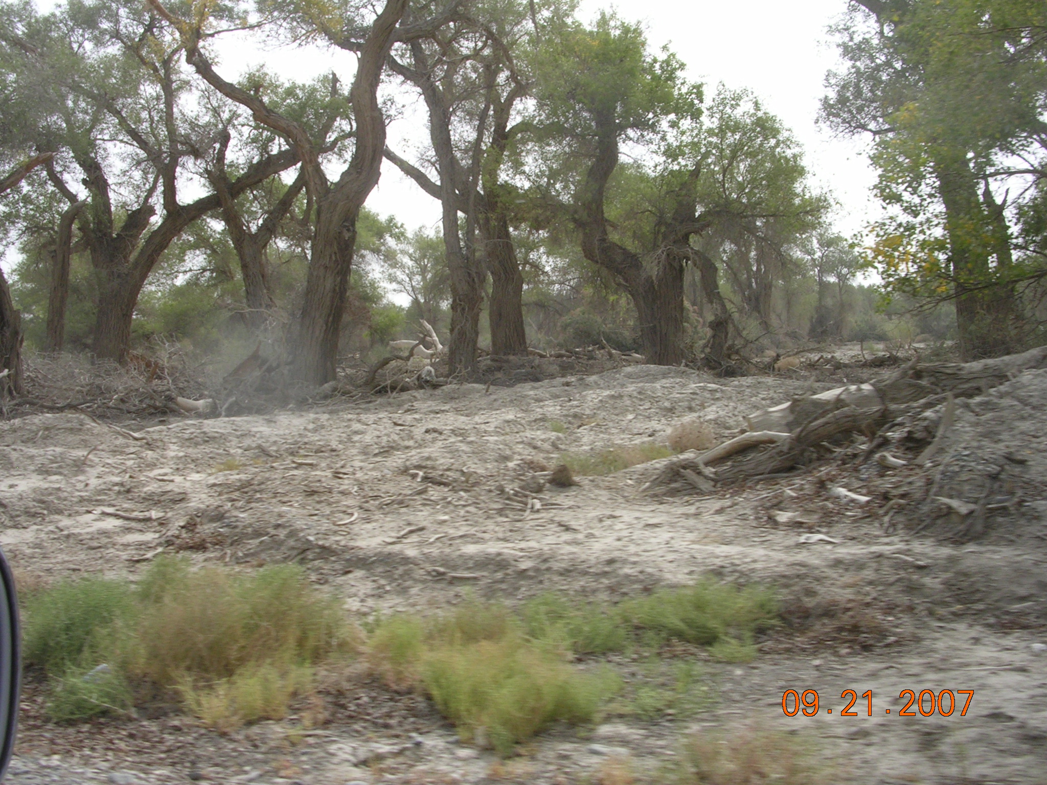 2007-Picture07-09-21B 275.jpg