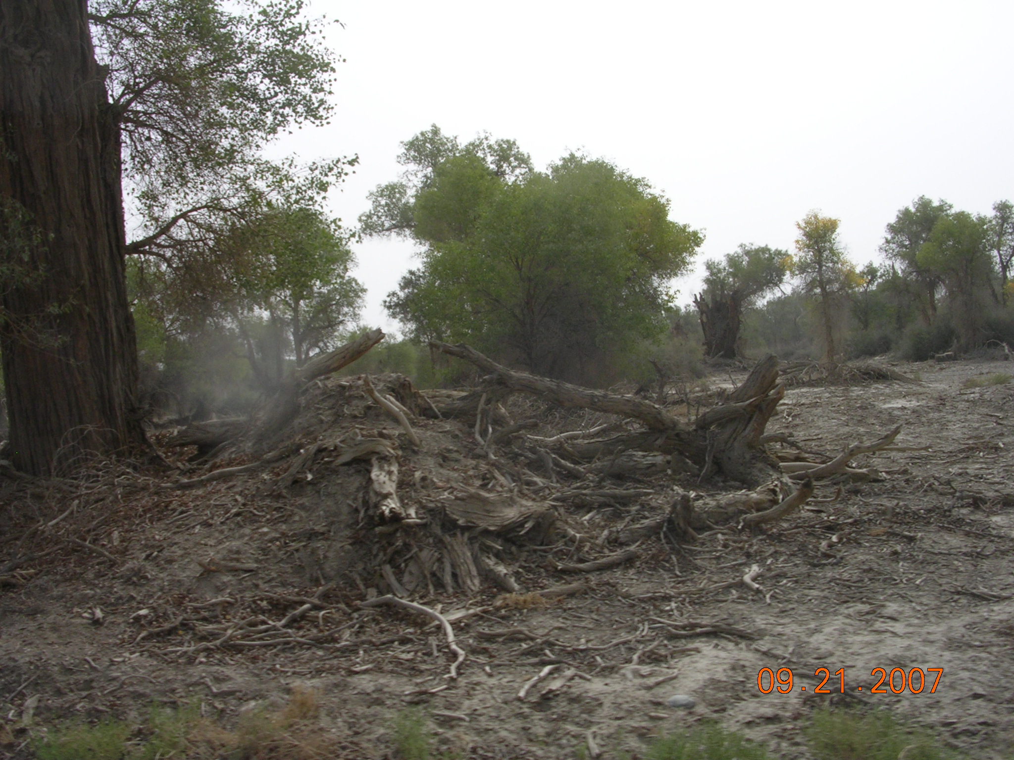 2007-Picture07-09-21B 274.jpg