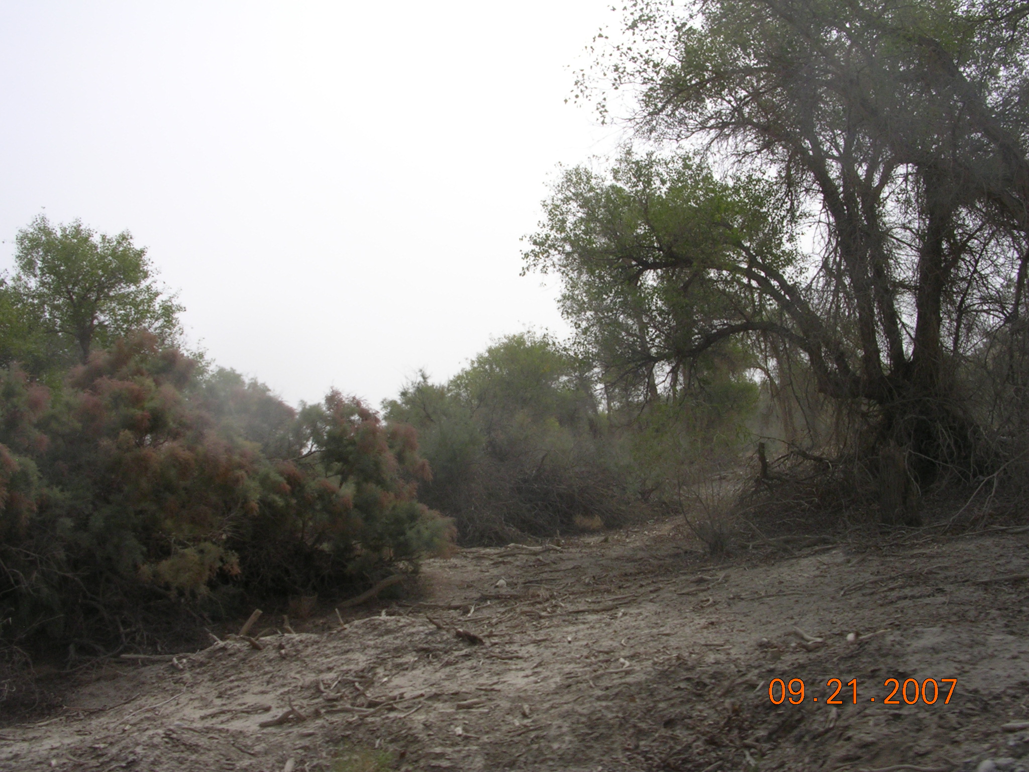 2007-Picture07-09-21B 273.jpg