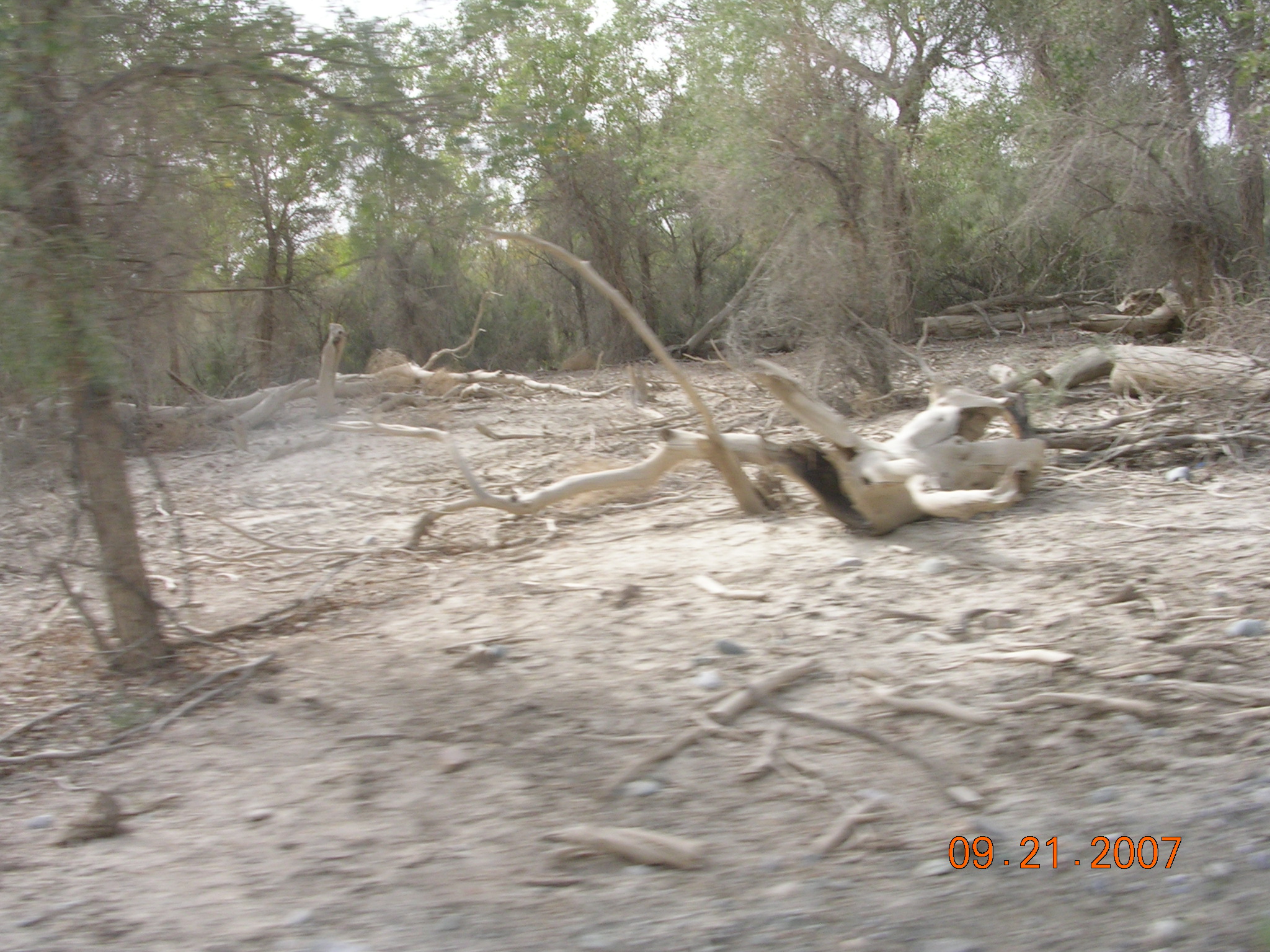 2007-Picture07-09-21B 269.jpg