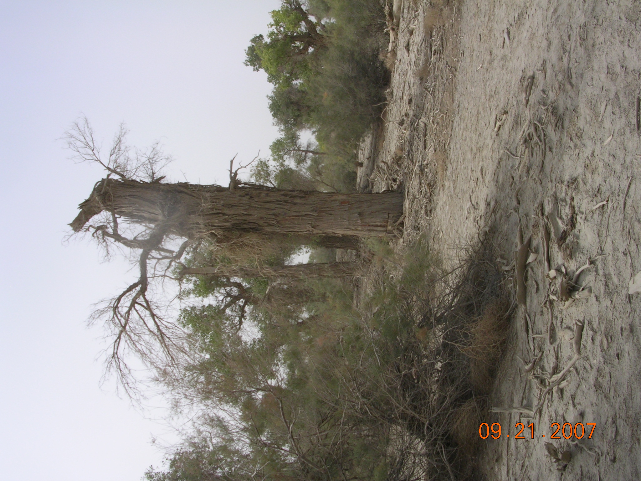 2007-Picture07-09-21B 293.jpg