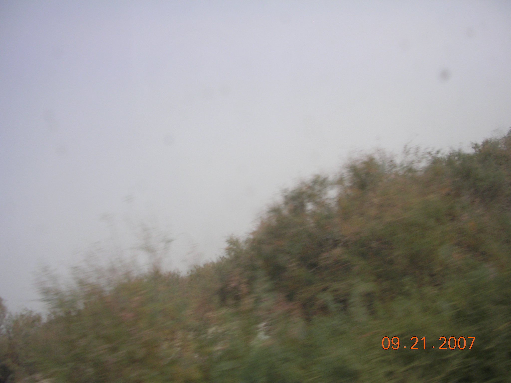 2007-Picture07-09-21B 311.jpg