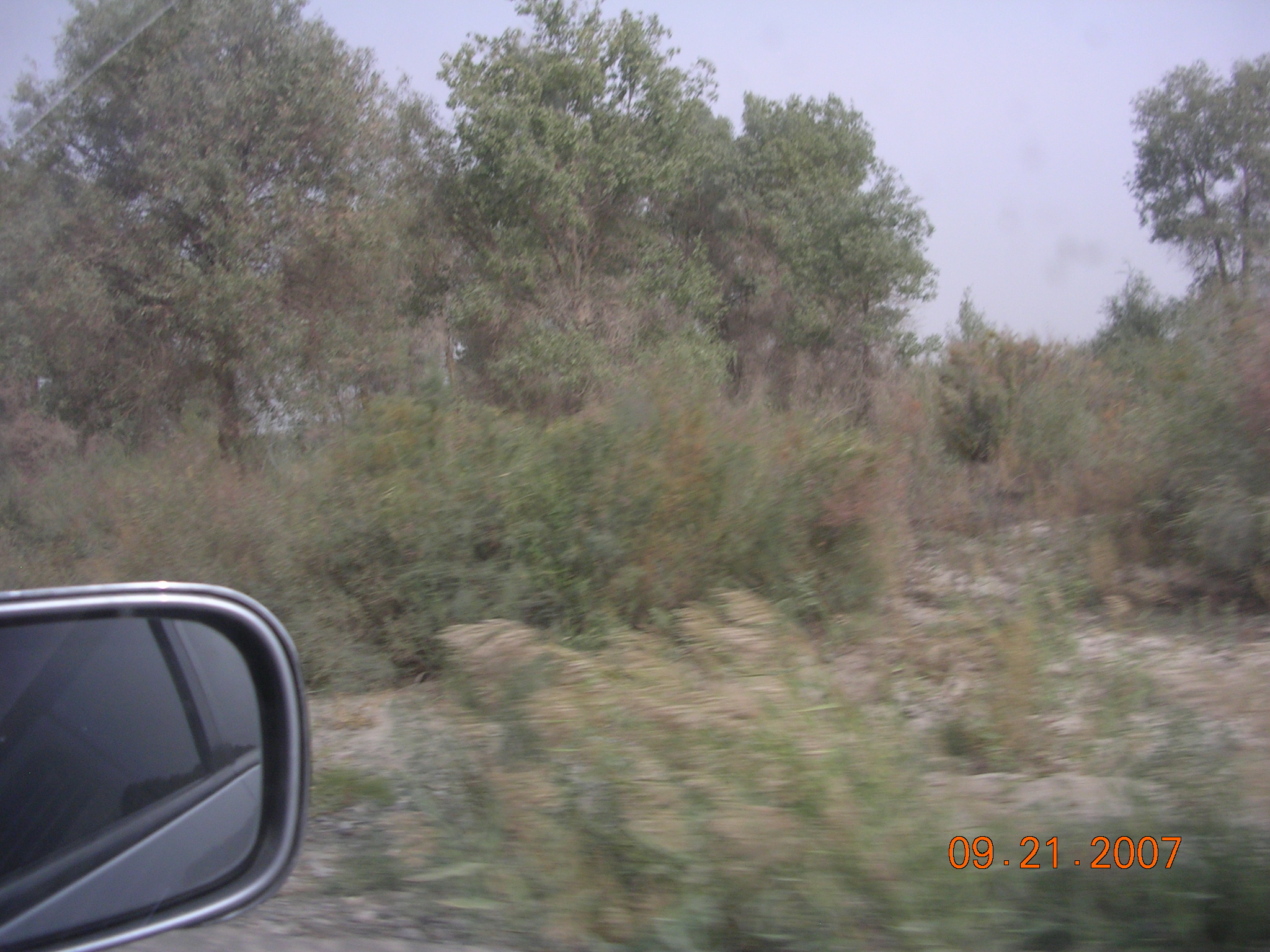 2007-Picture07-09-21B 308.jpg