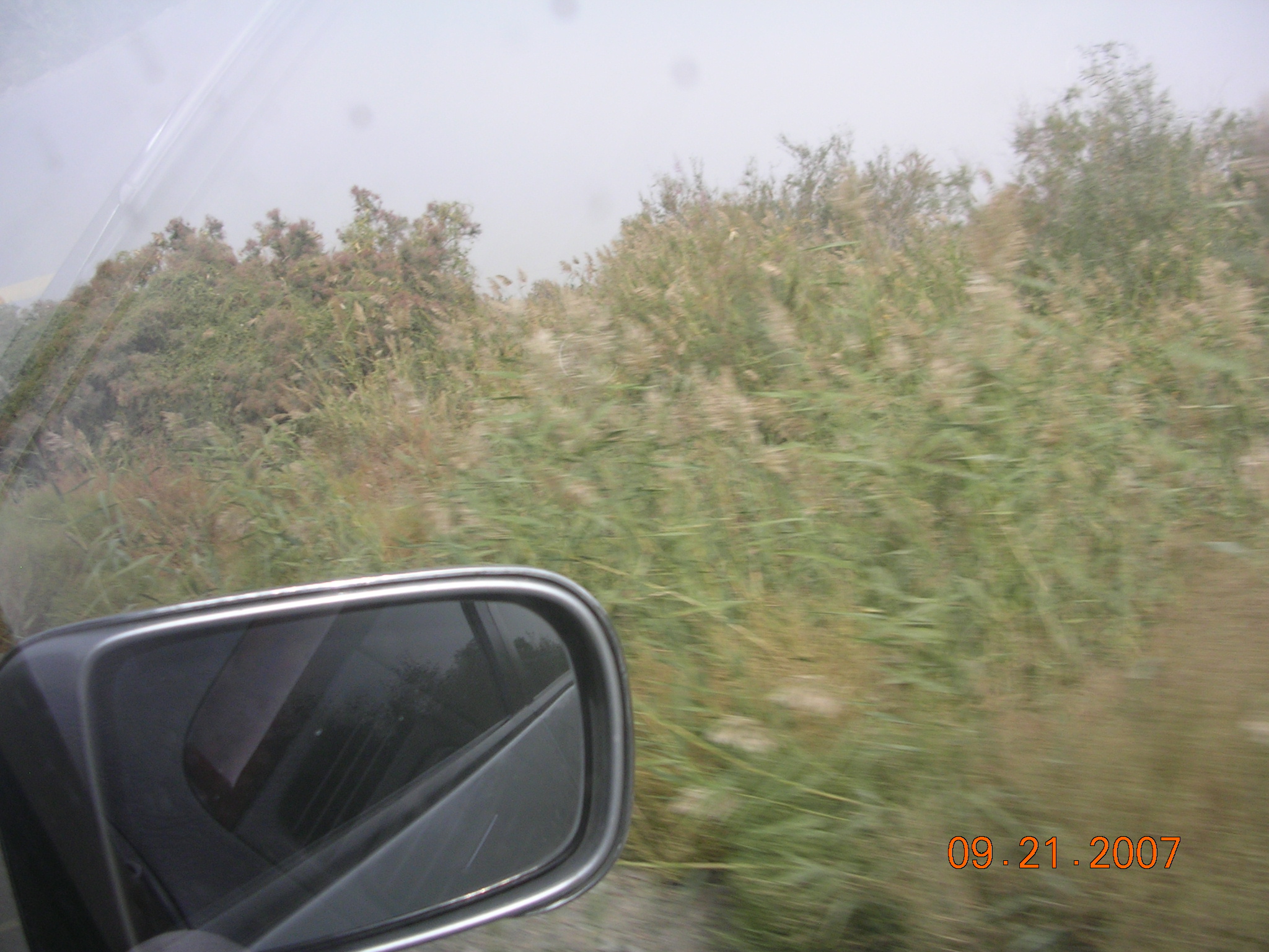 2007-Picture07-09-21B 306.jpg