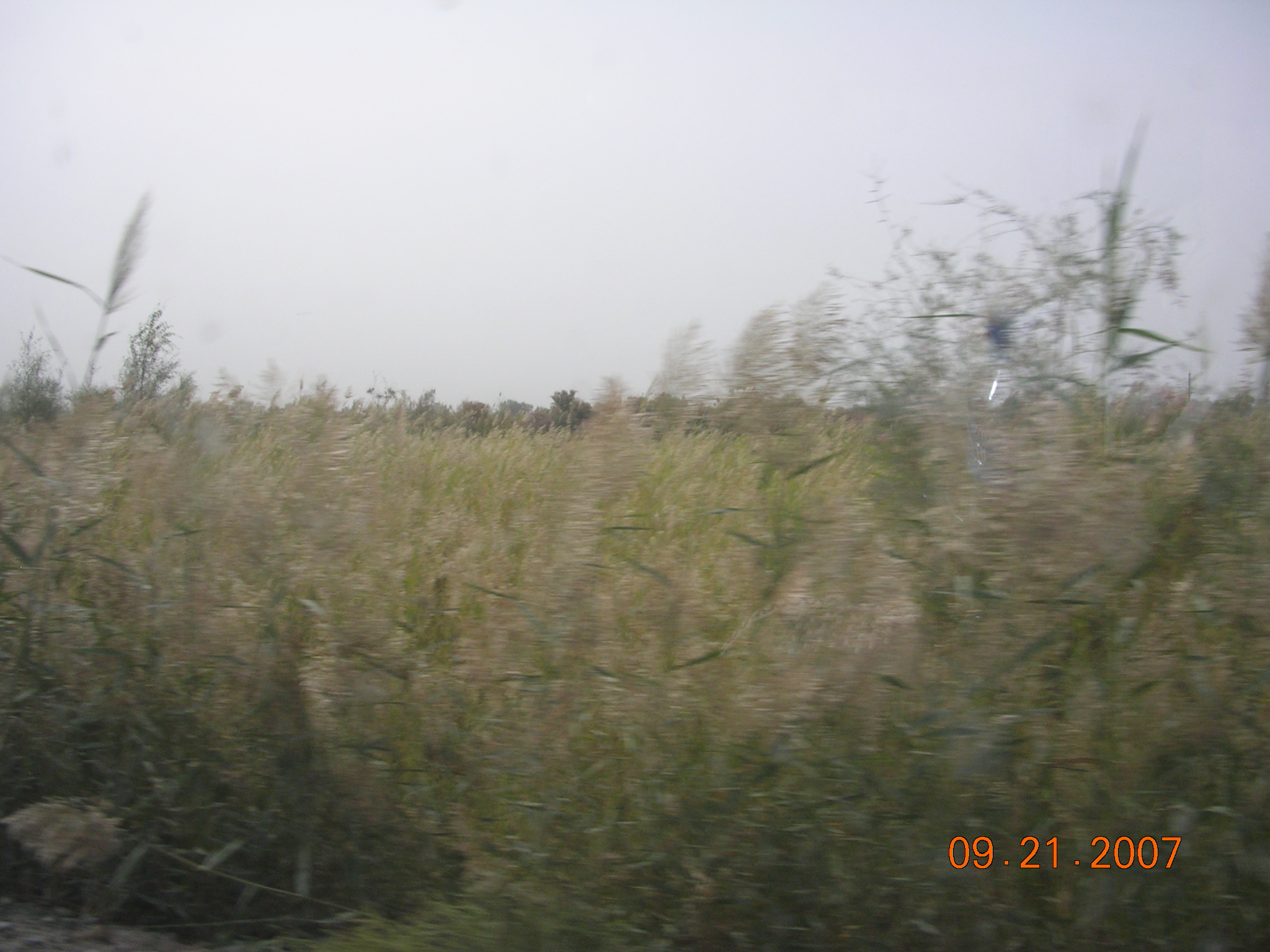 2007-Picture07-09-21B 301.jpg