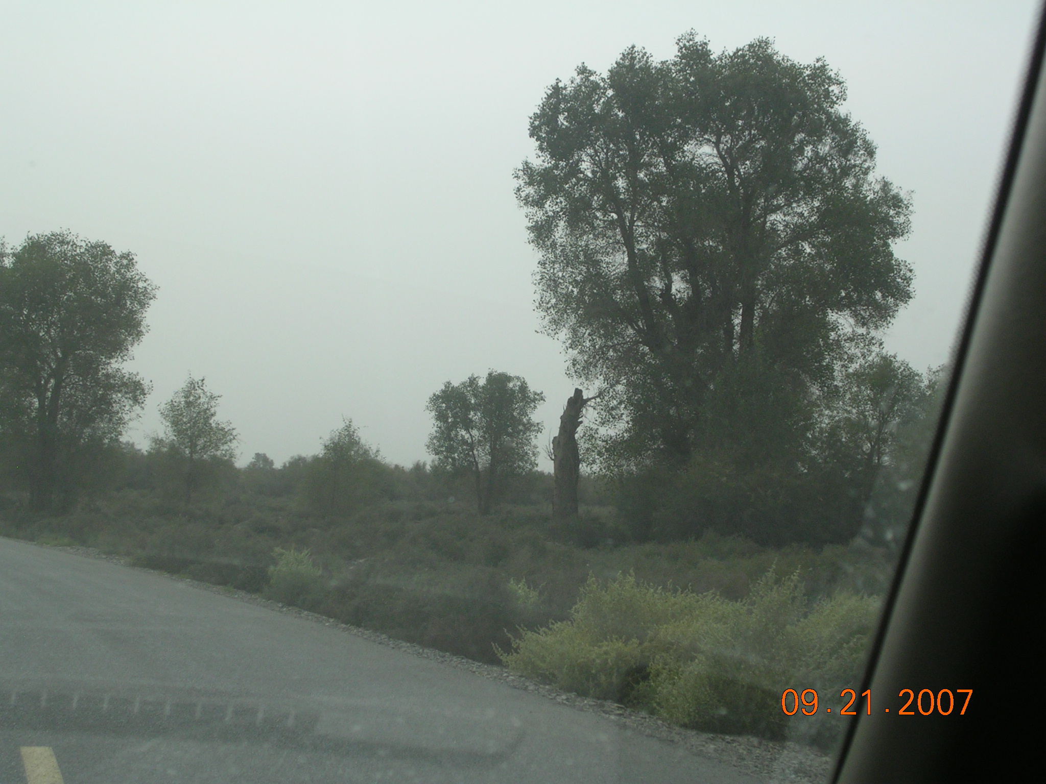 2007-Picture07-09-21B 298.jpg