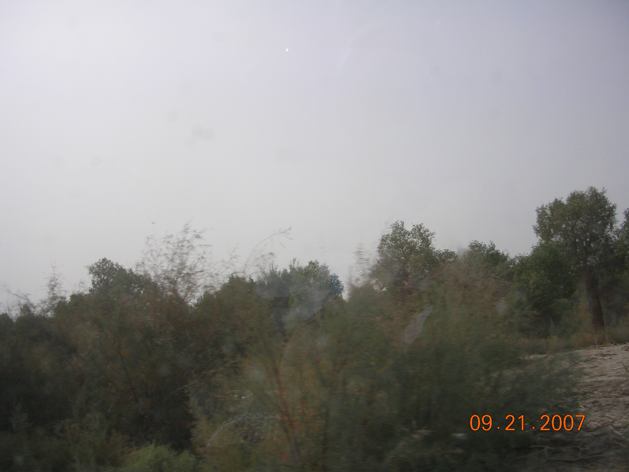2007-Picture07-09-21B 296.jpg