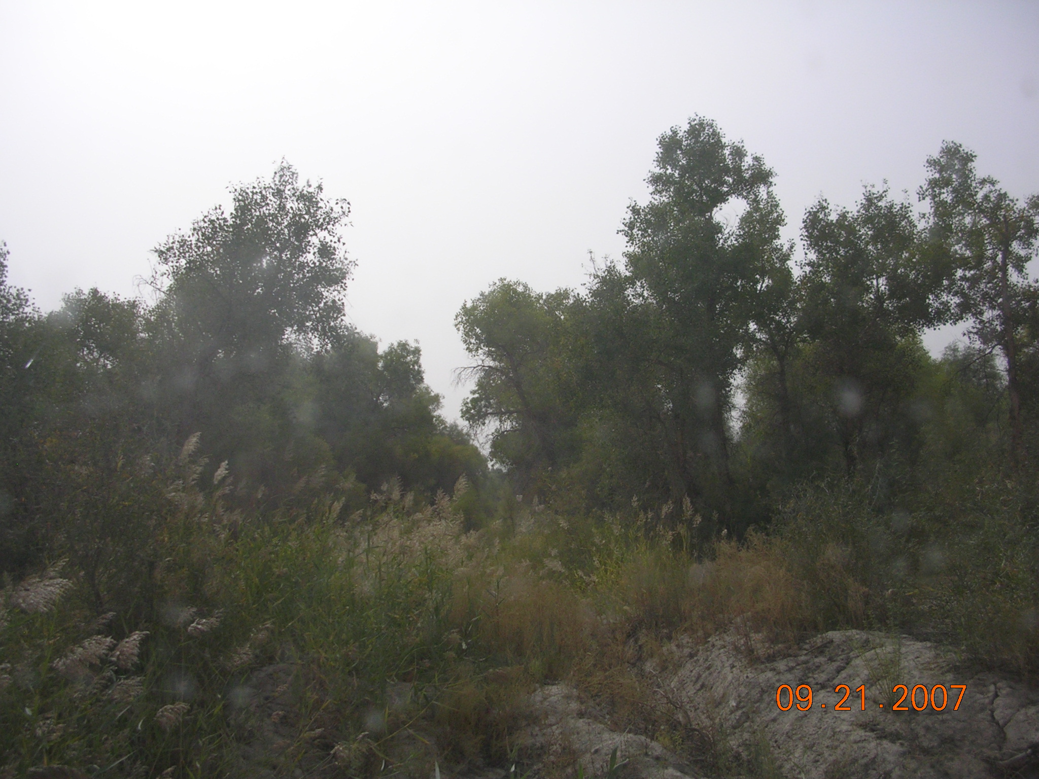 2007-Picture07-09-21B 294.jpg