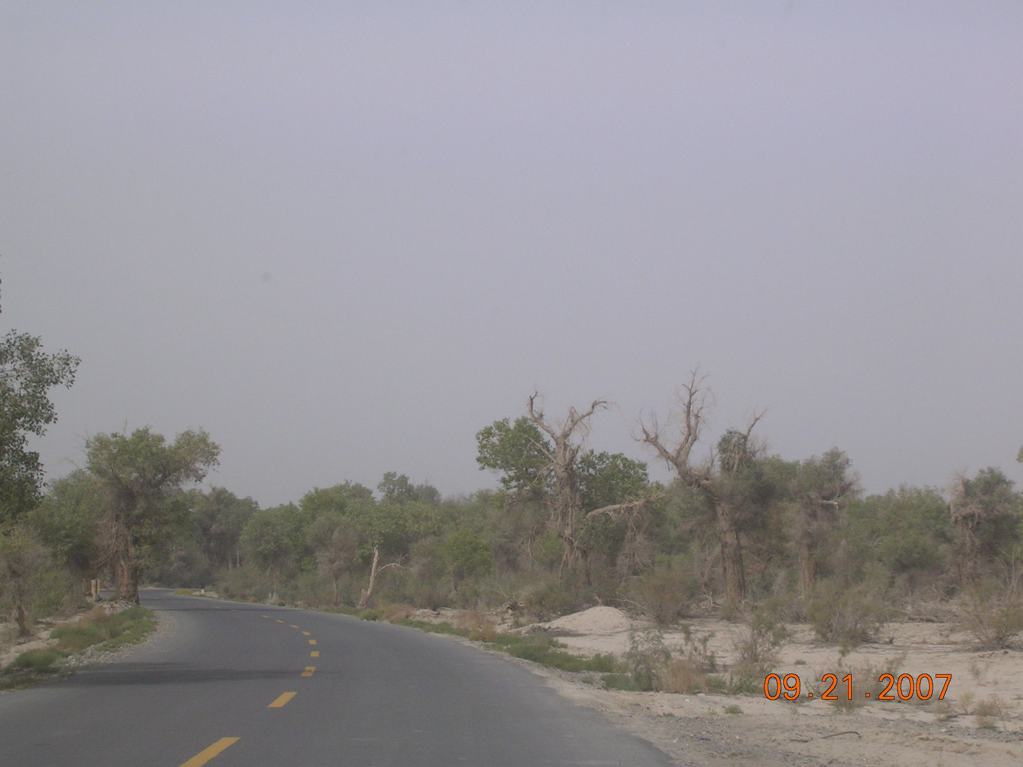 2007-Picture07-09-21B 320.jpg