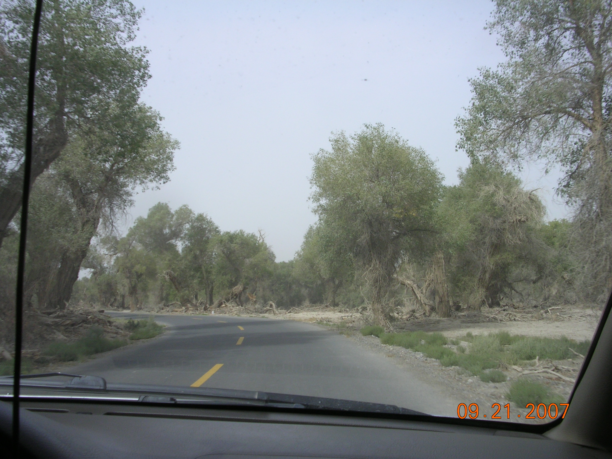 2007-Picture07-09-21B 341.jpg