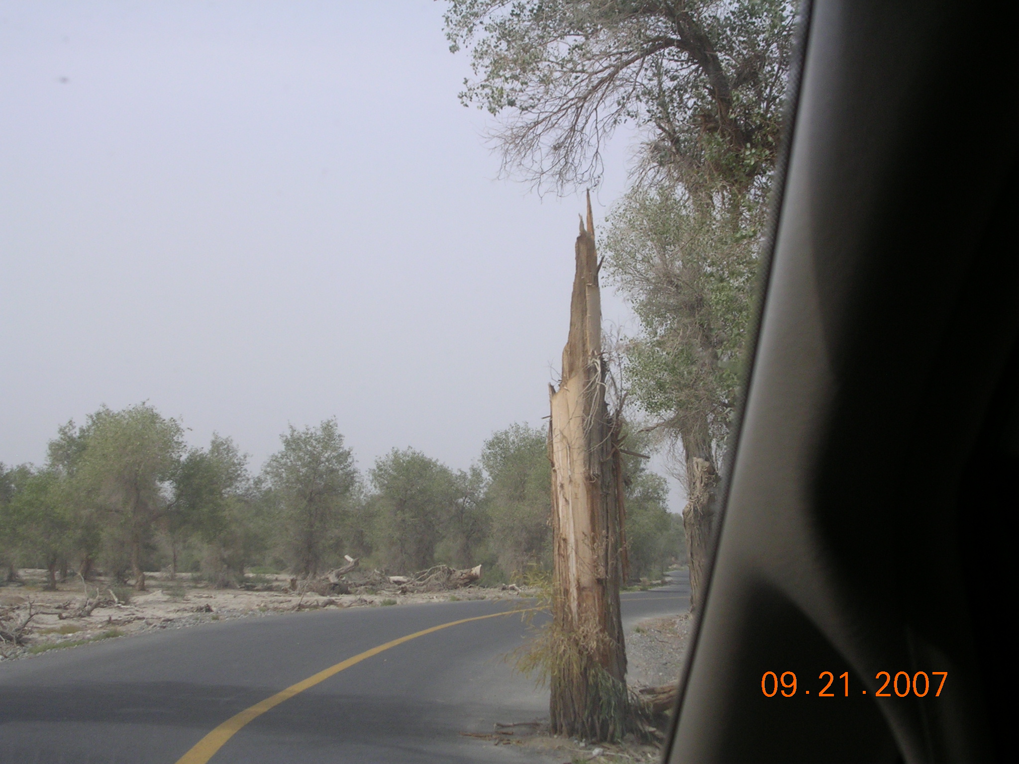 2007-Picture07-09-21B 338.jpg