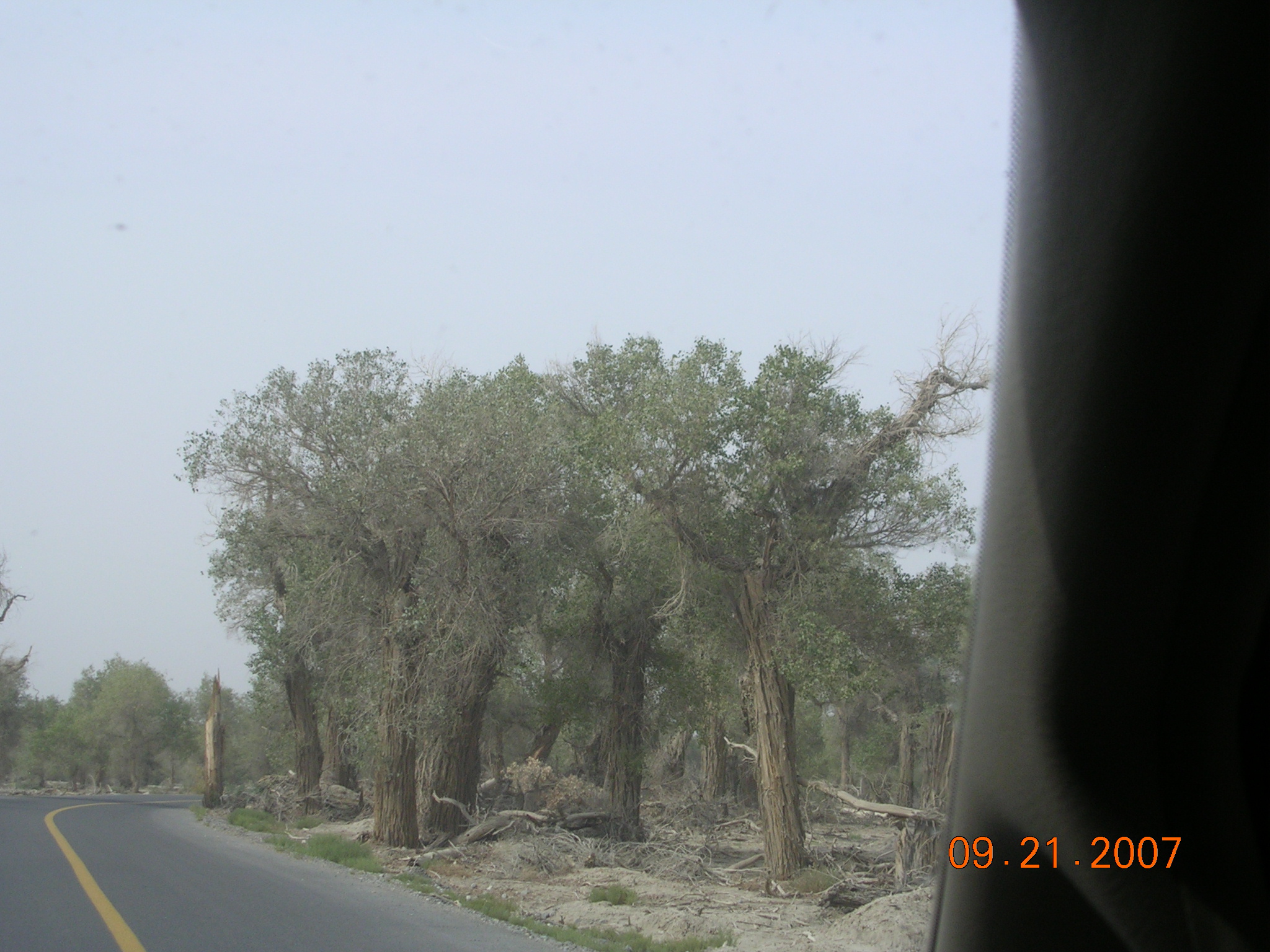 2007-Picture07-09-21B 337.jpg