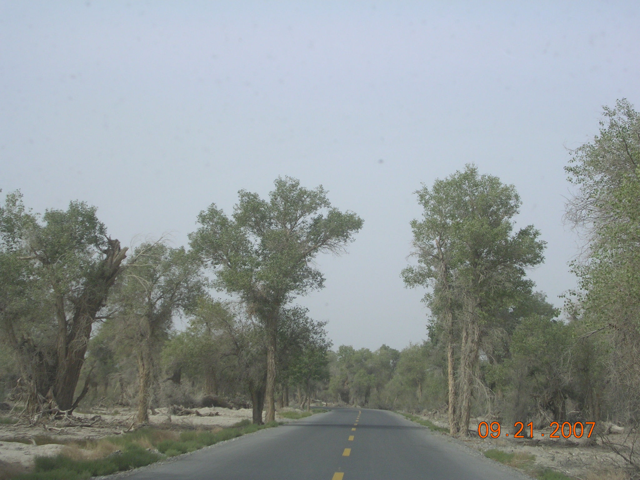 2007-Picture07-09-21B 336.jpg