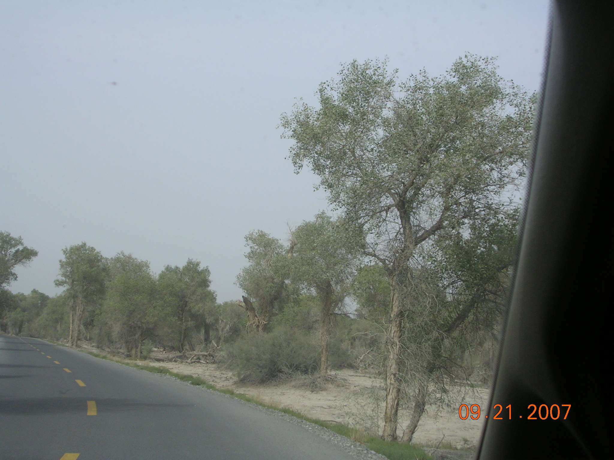 2007-Picture07-09-21B 335.jpg
