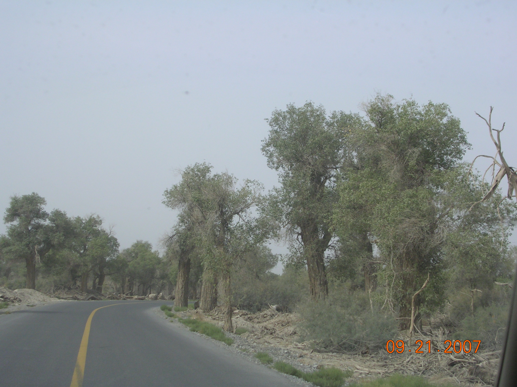 2007-Picture07-09-21B 334.jpg