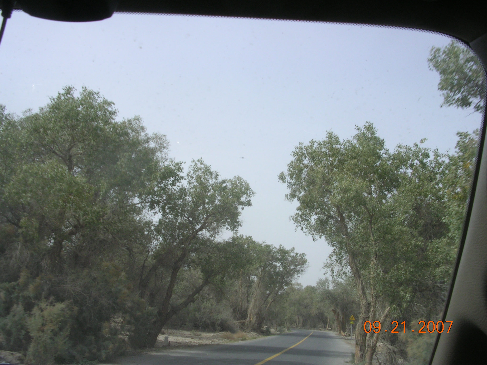 2007-Picture07-09-21B 327.jpg