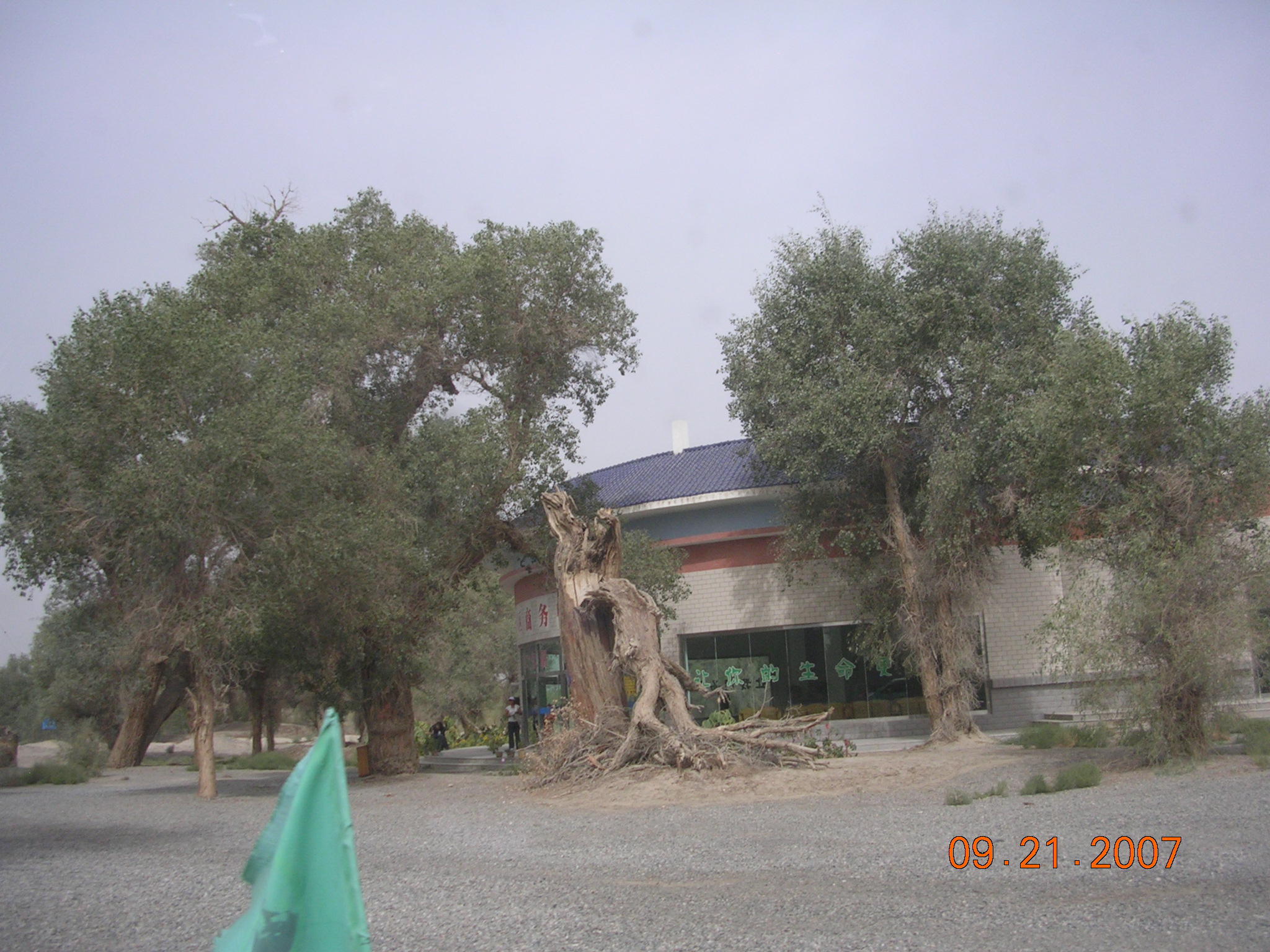 2007-Picture07-09-21B 373.jpg