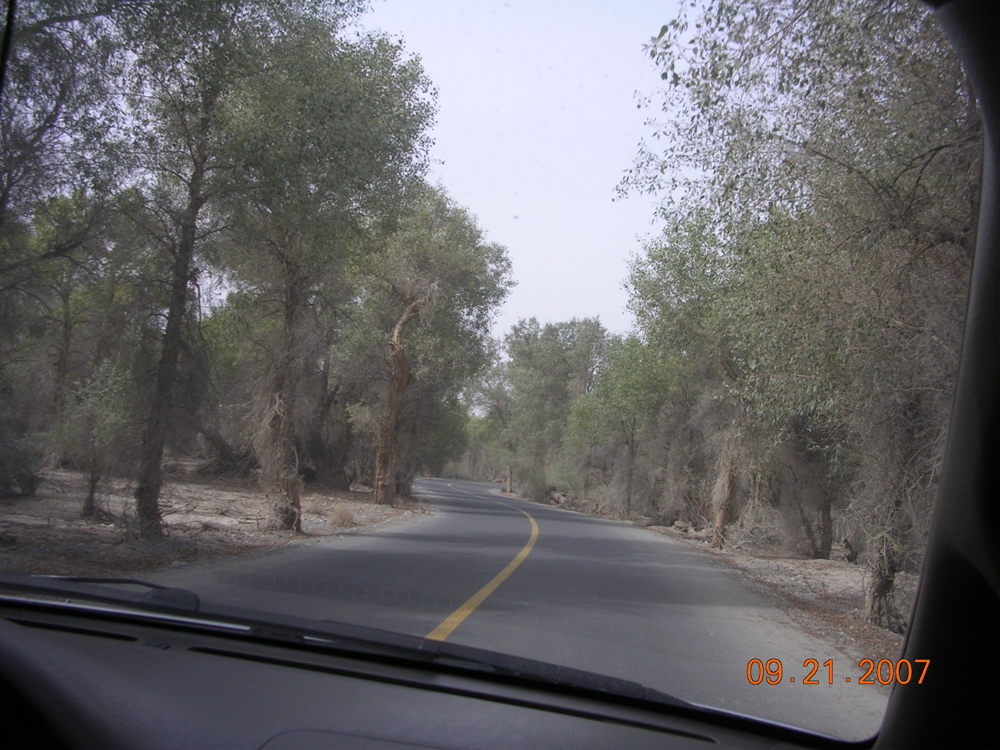 2007-Picture07-09-21B 357.jpg