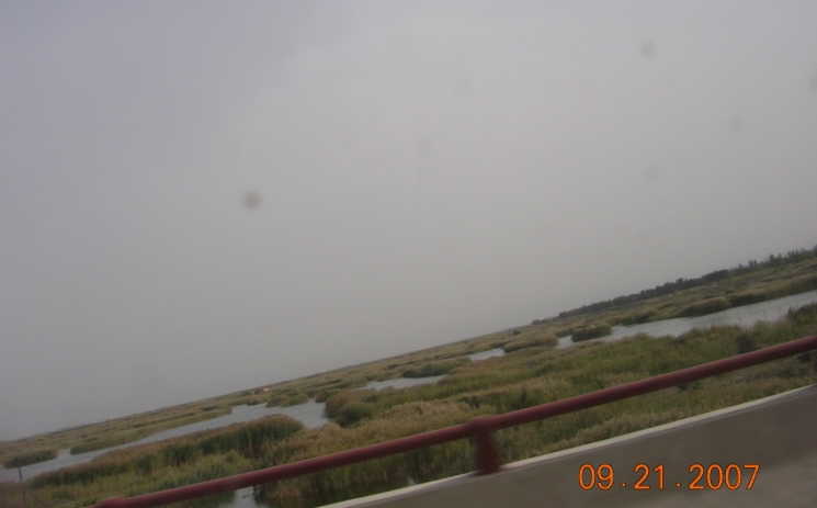 BlogTP07-10-23Bk.jpg