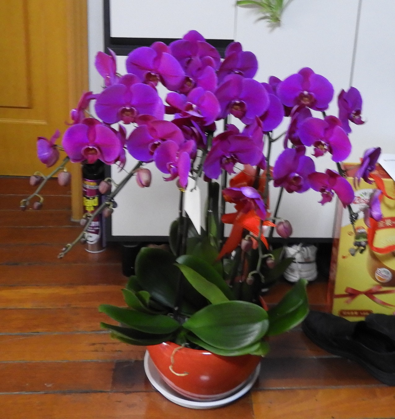 DSCN1610.JPG
