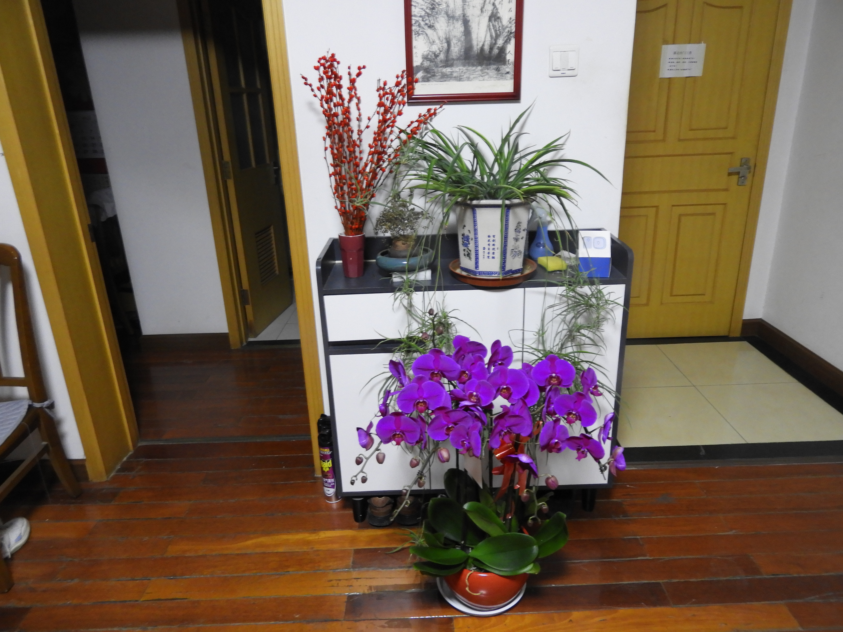DSCN1627.JPG