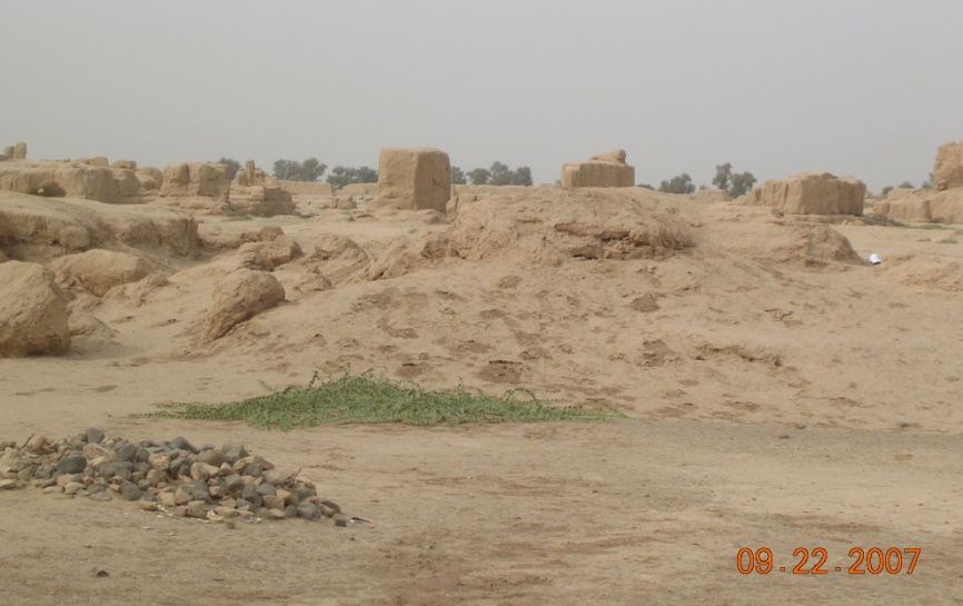 BlogTP07-10-26Bu.jpg