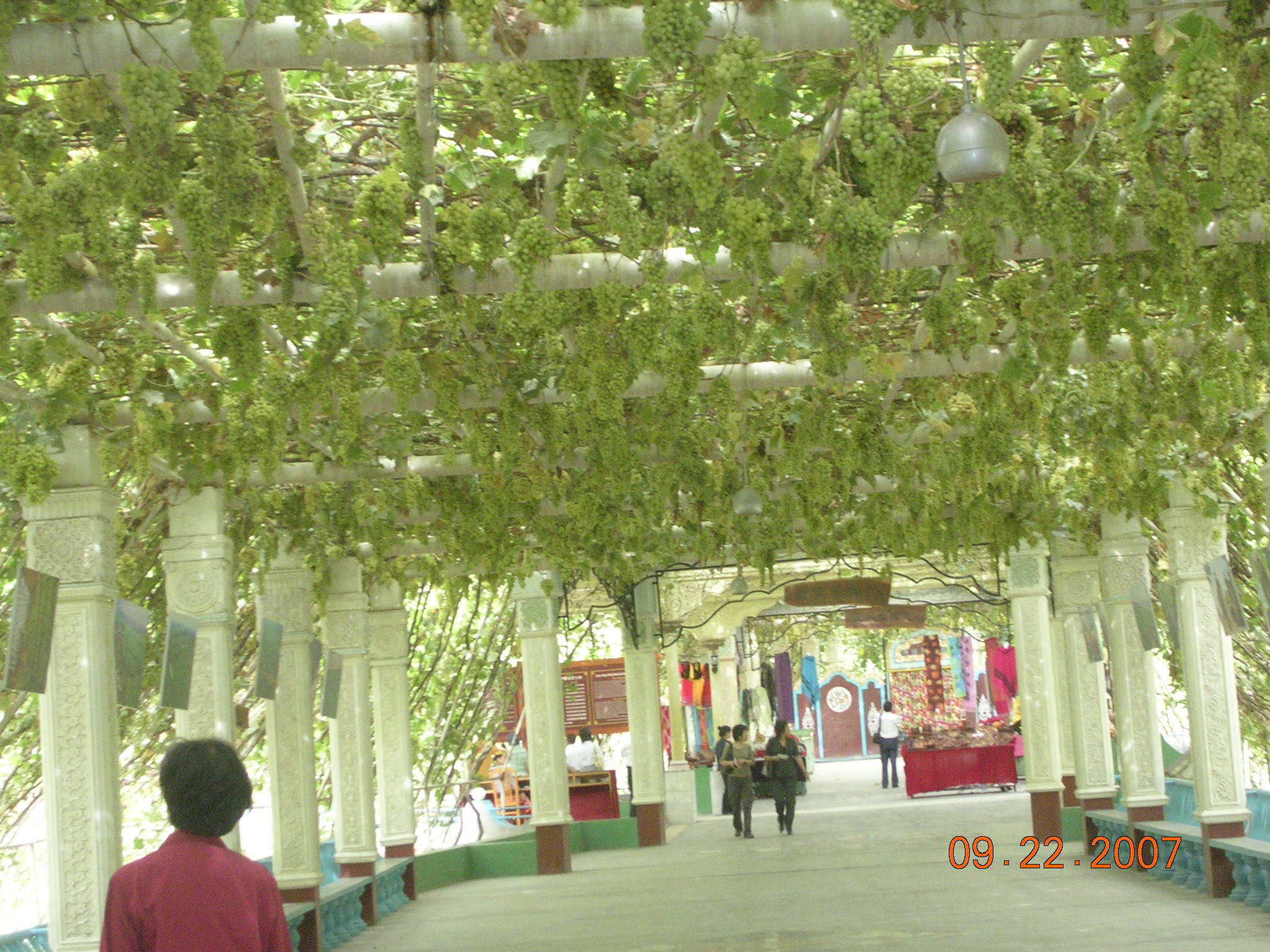 2007-Picture07-09-23A 254.jpg