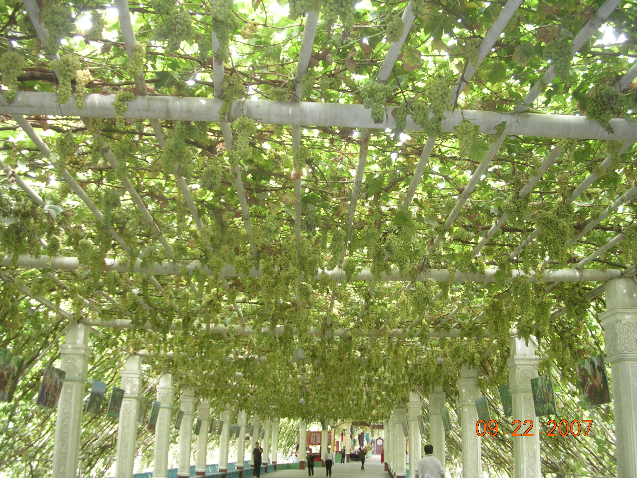 2007-Picture07-09-23A 249.jpg