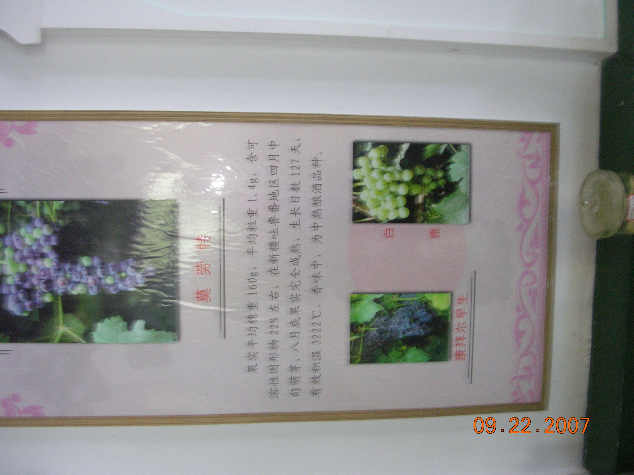 2007-Picture07-09-23A 288.jpg