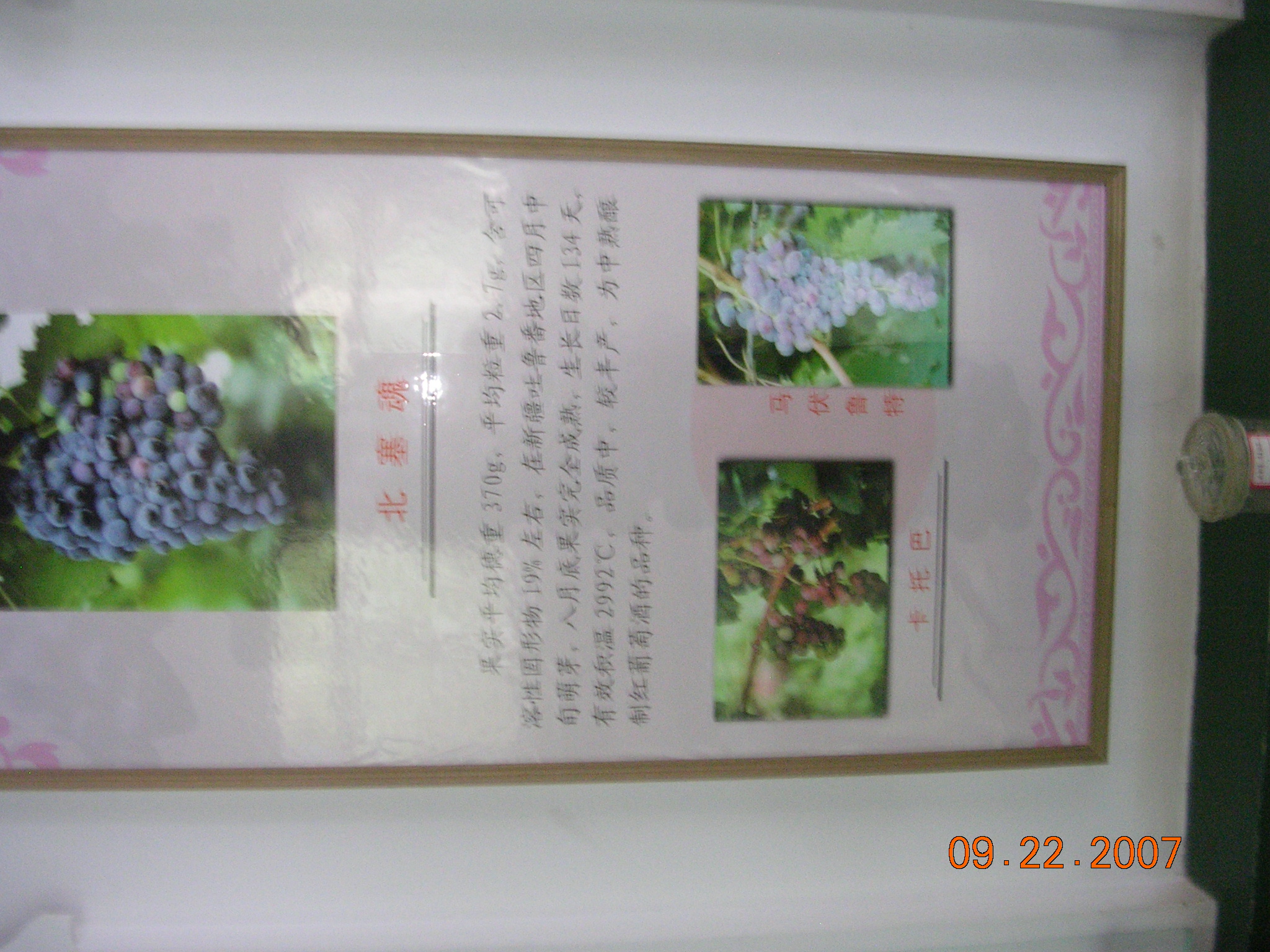 2007-Picture07-09-23A 287.jpg