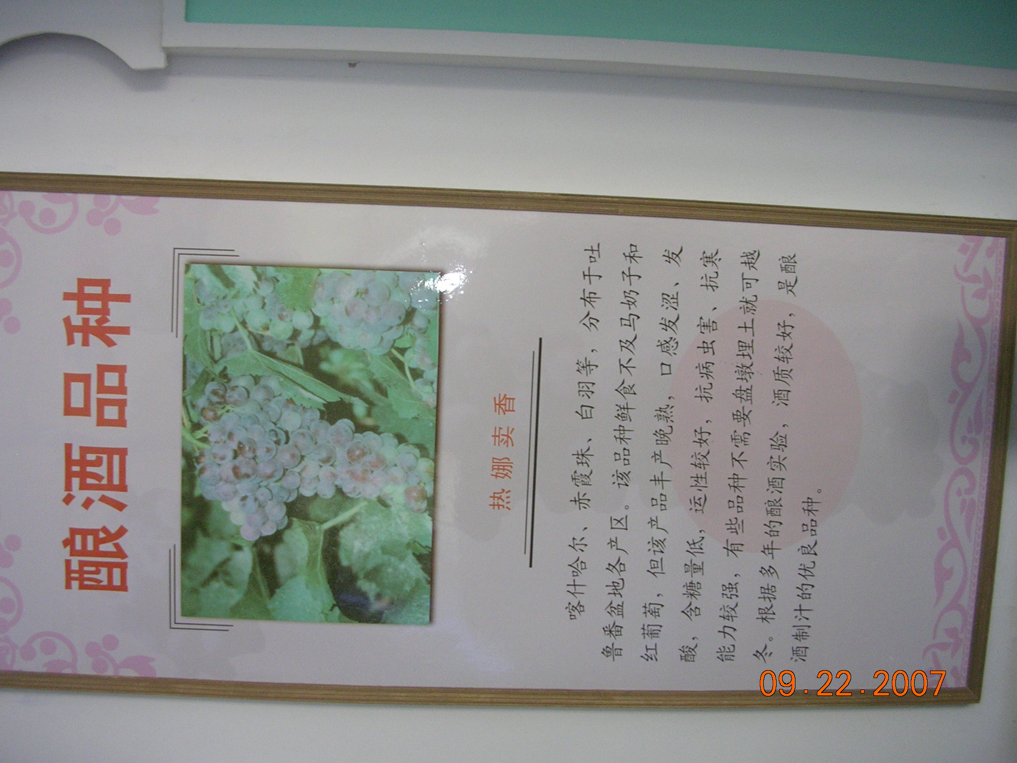 2007-Picture07-09-23A 283.jpg