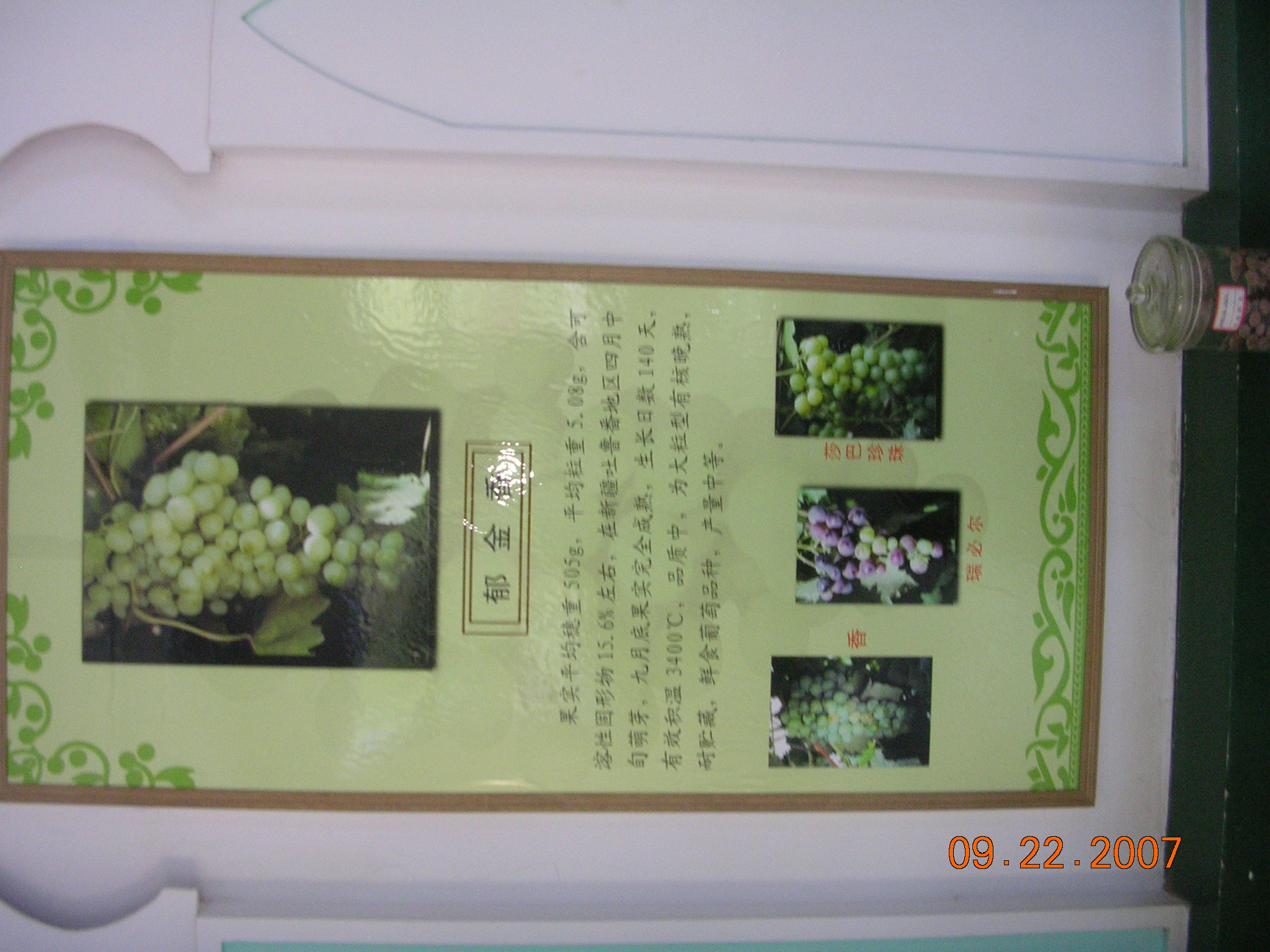 2007-Picture07-09-23A 282.jpg