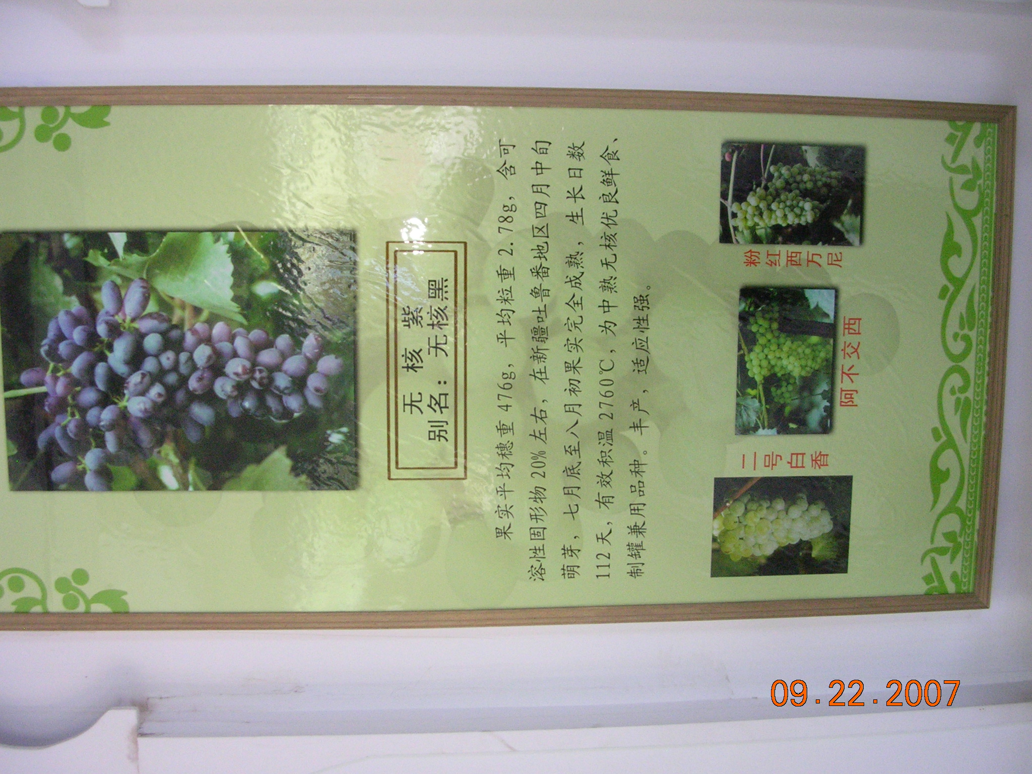 2007-Picture07-09-23A 281.jpg