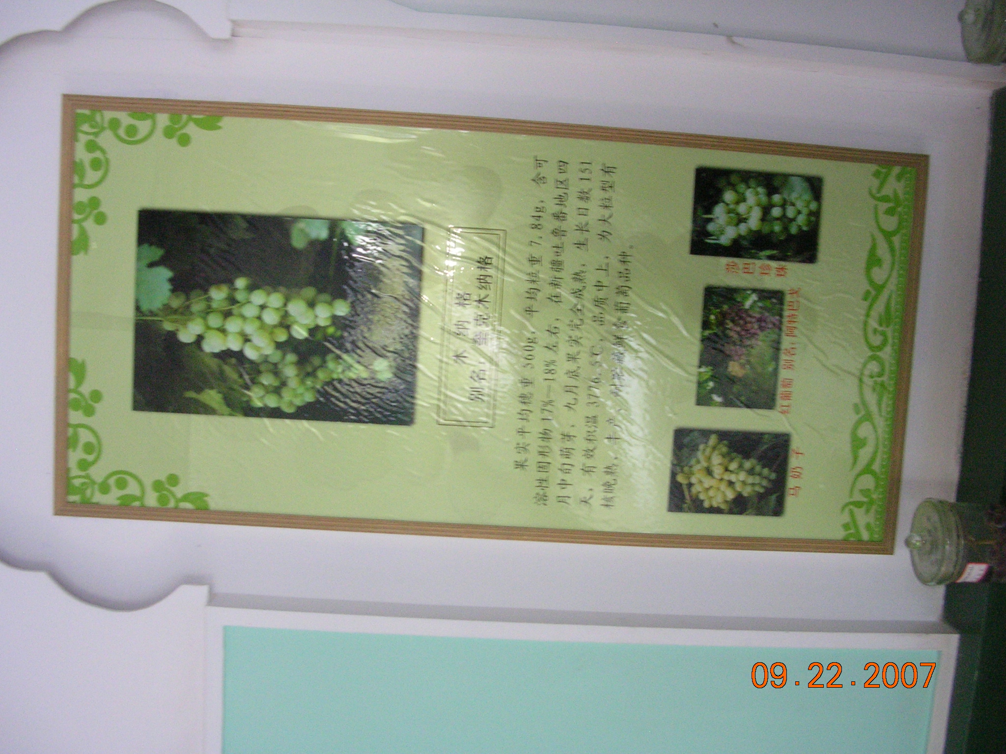 2007-Picture07-09-23A 278.jpg