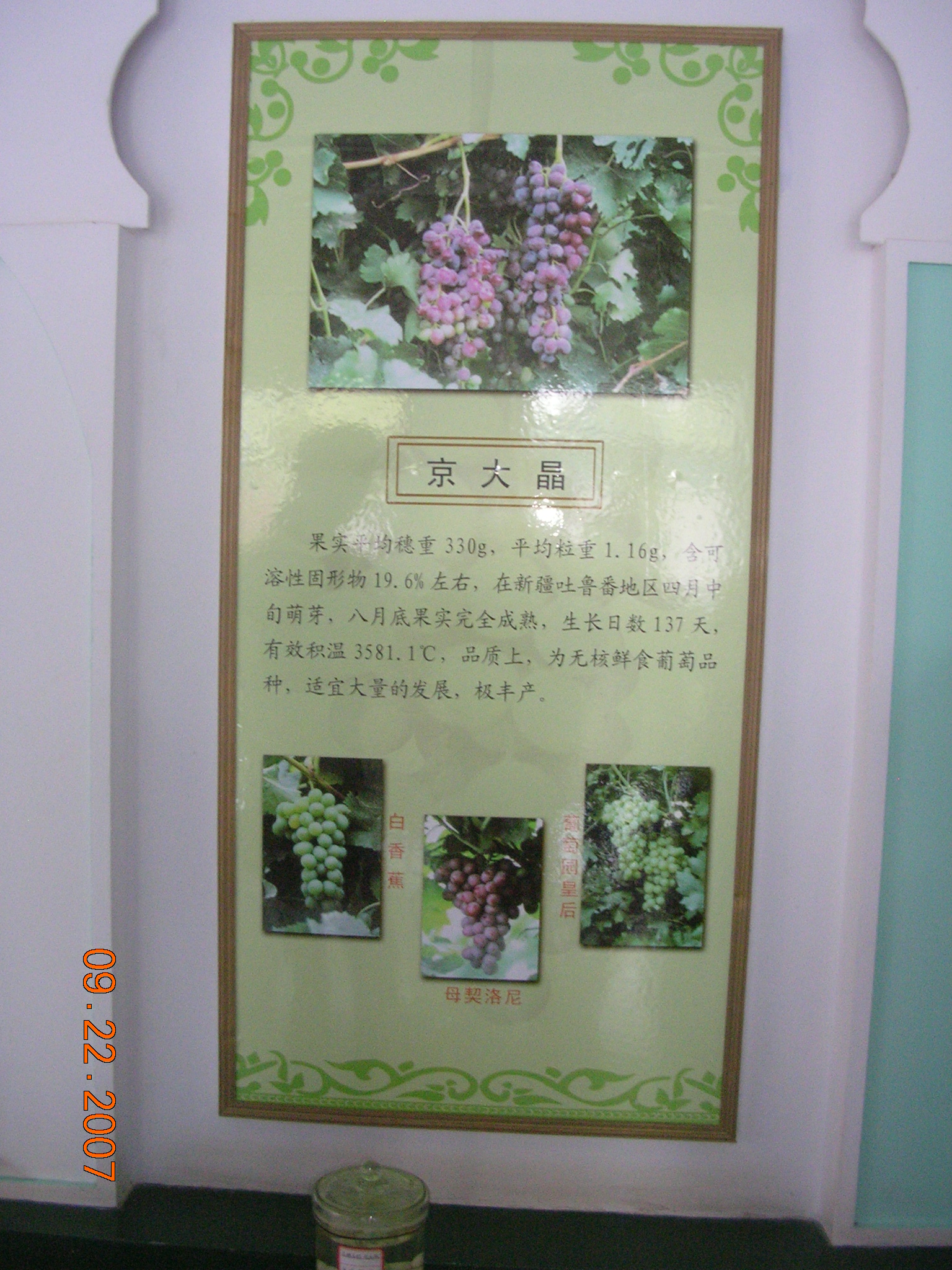2007-Picture07-09-23A 277.jpg