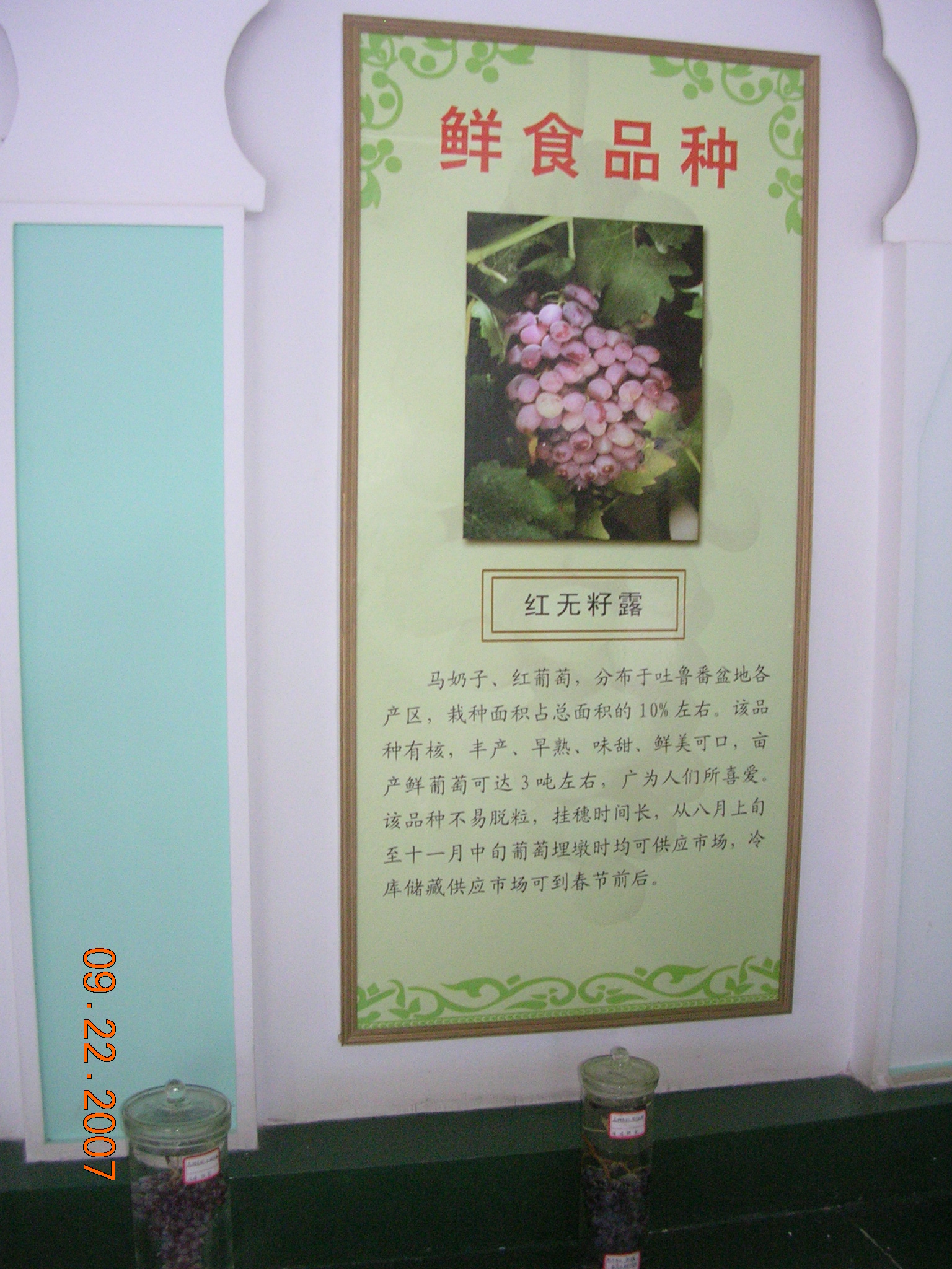 2007-Picture07-09-23A 276.jpg