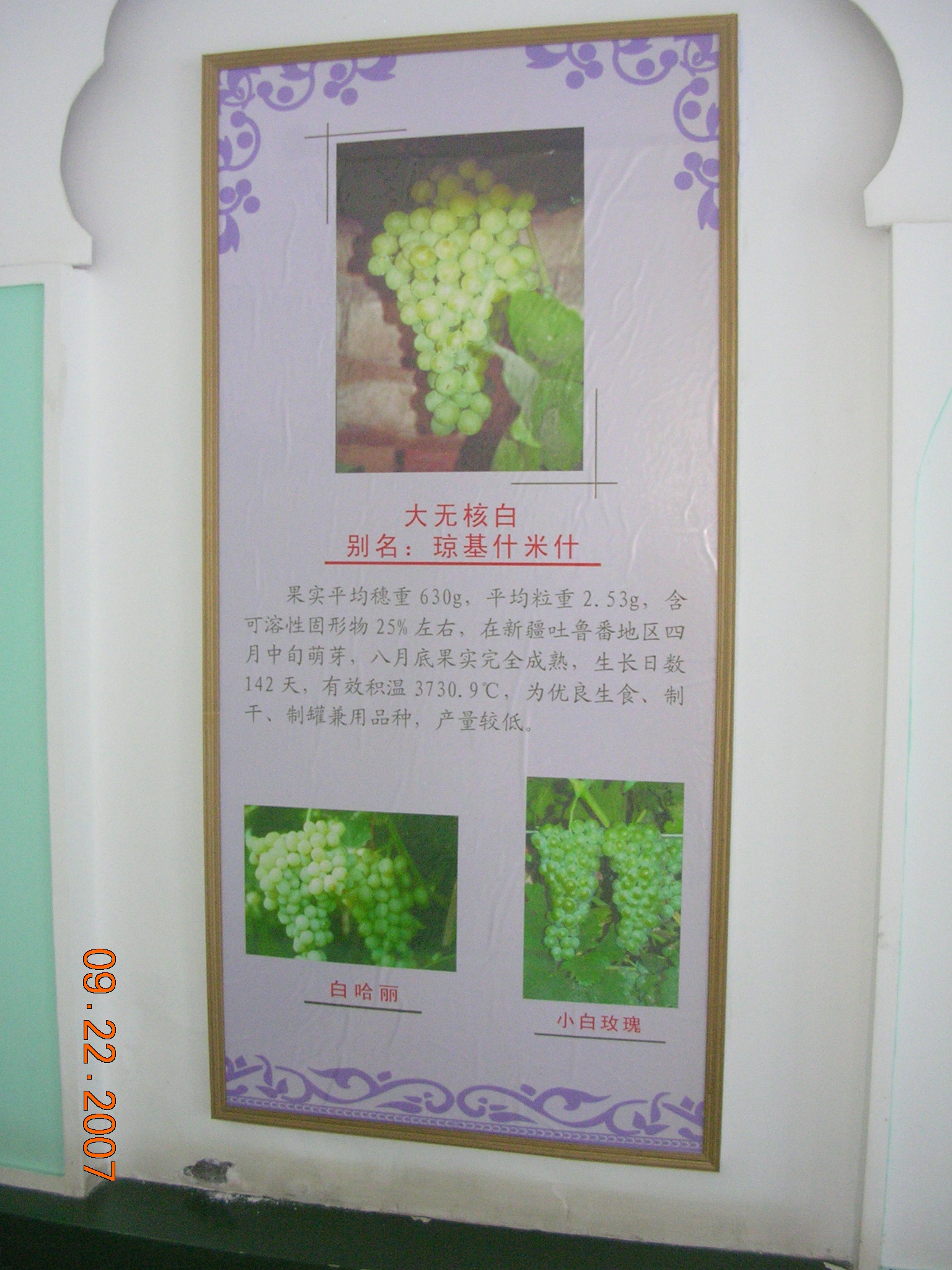 2007-Picture07-09-23A 275.jpg