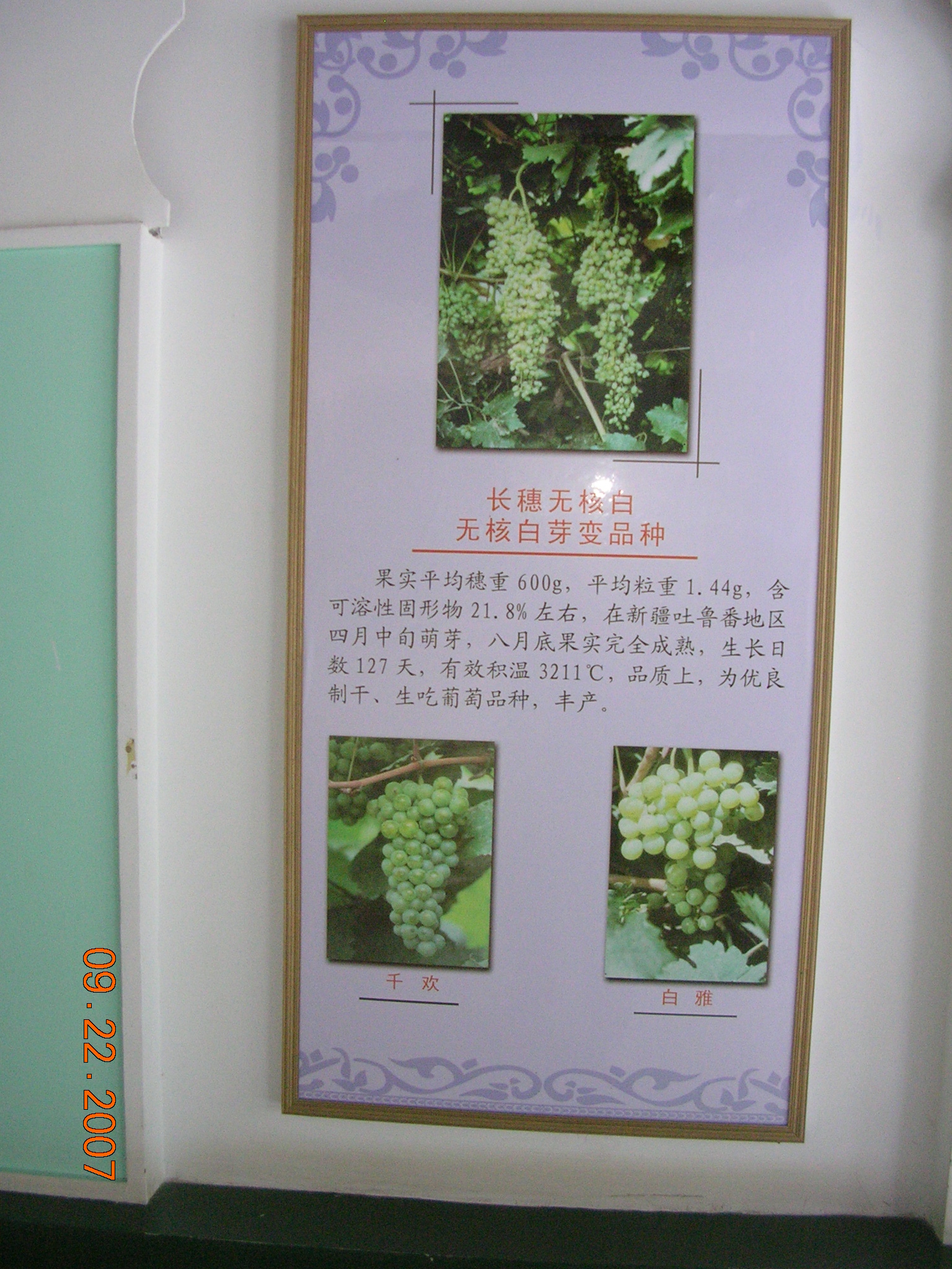 2007-Picture07-09-23A 273.jpg