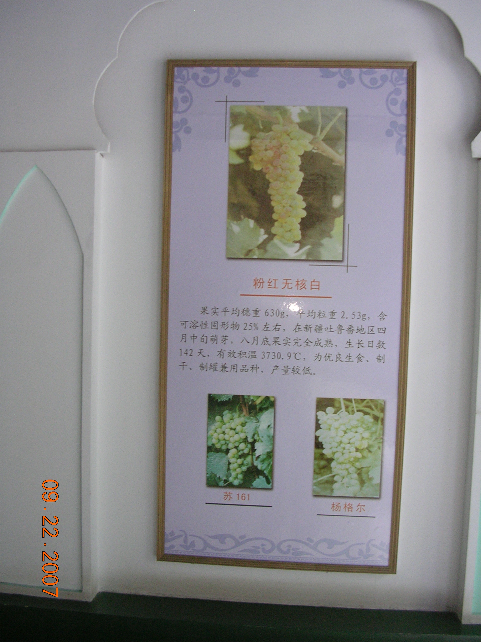 2007-Picture07-09-23A 272.jpg