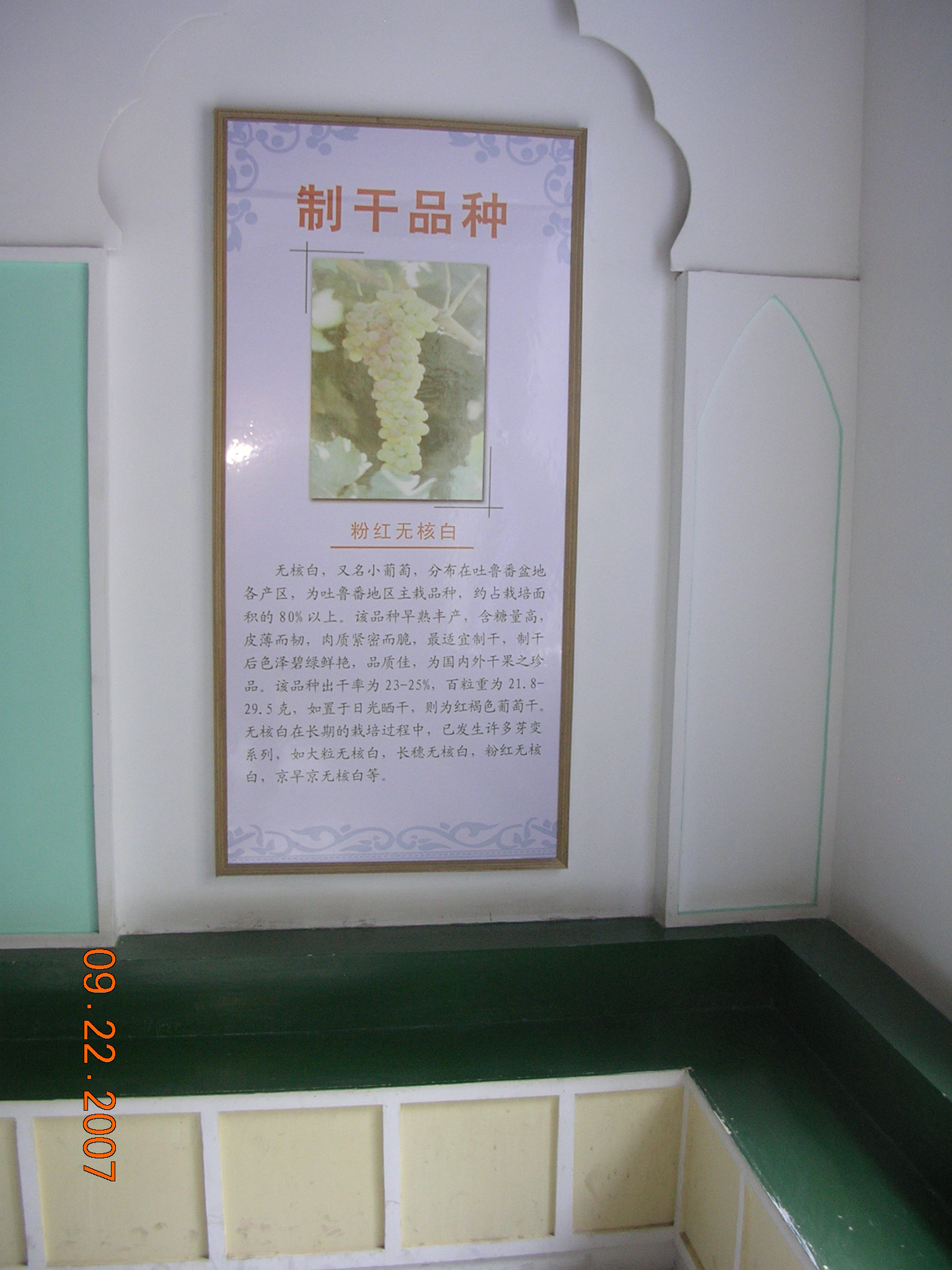 2007-Picture07-09-23A 271.jpg