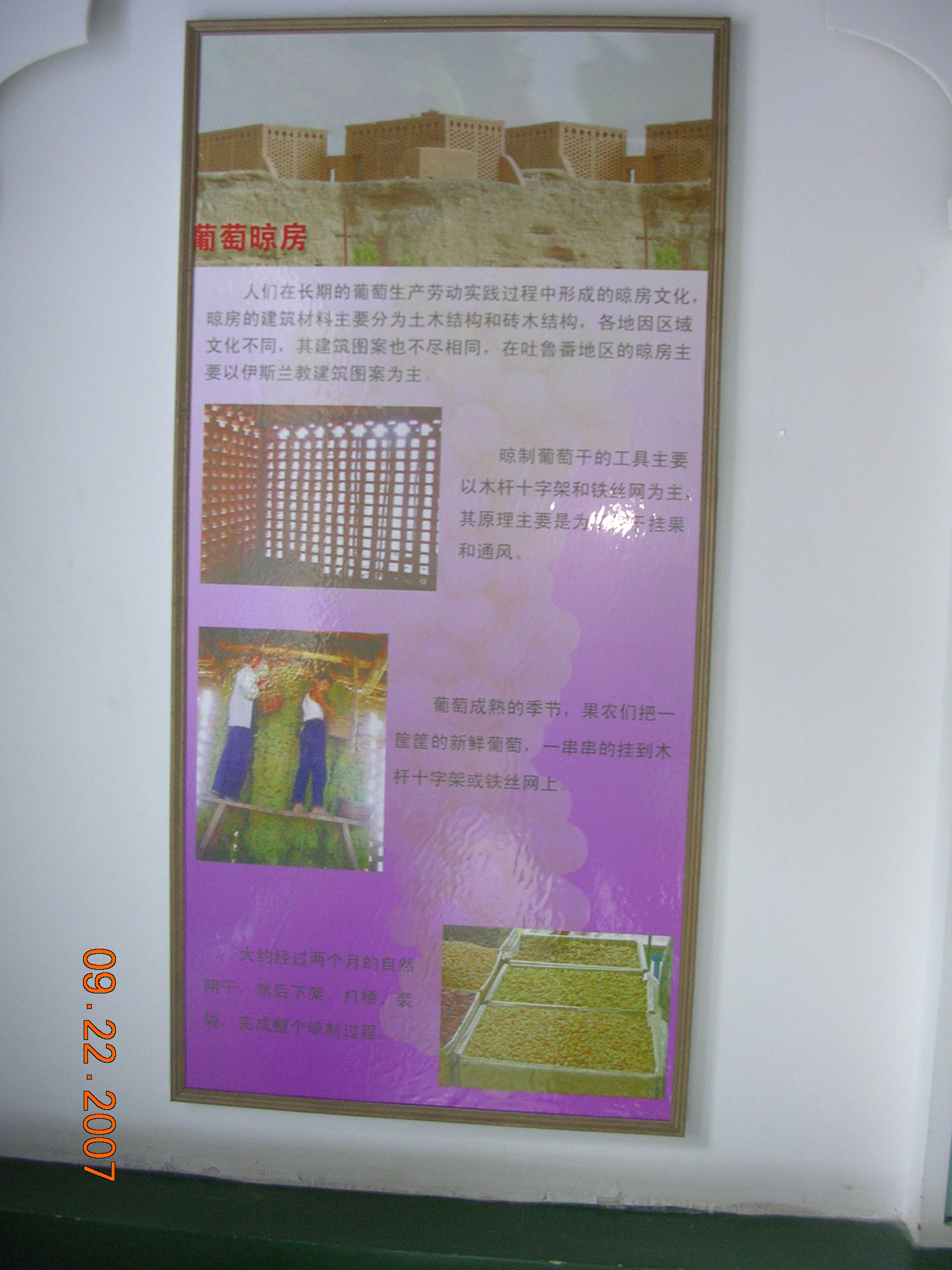 2007-Picture07-09-23A 270.jpg