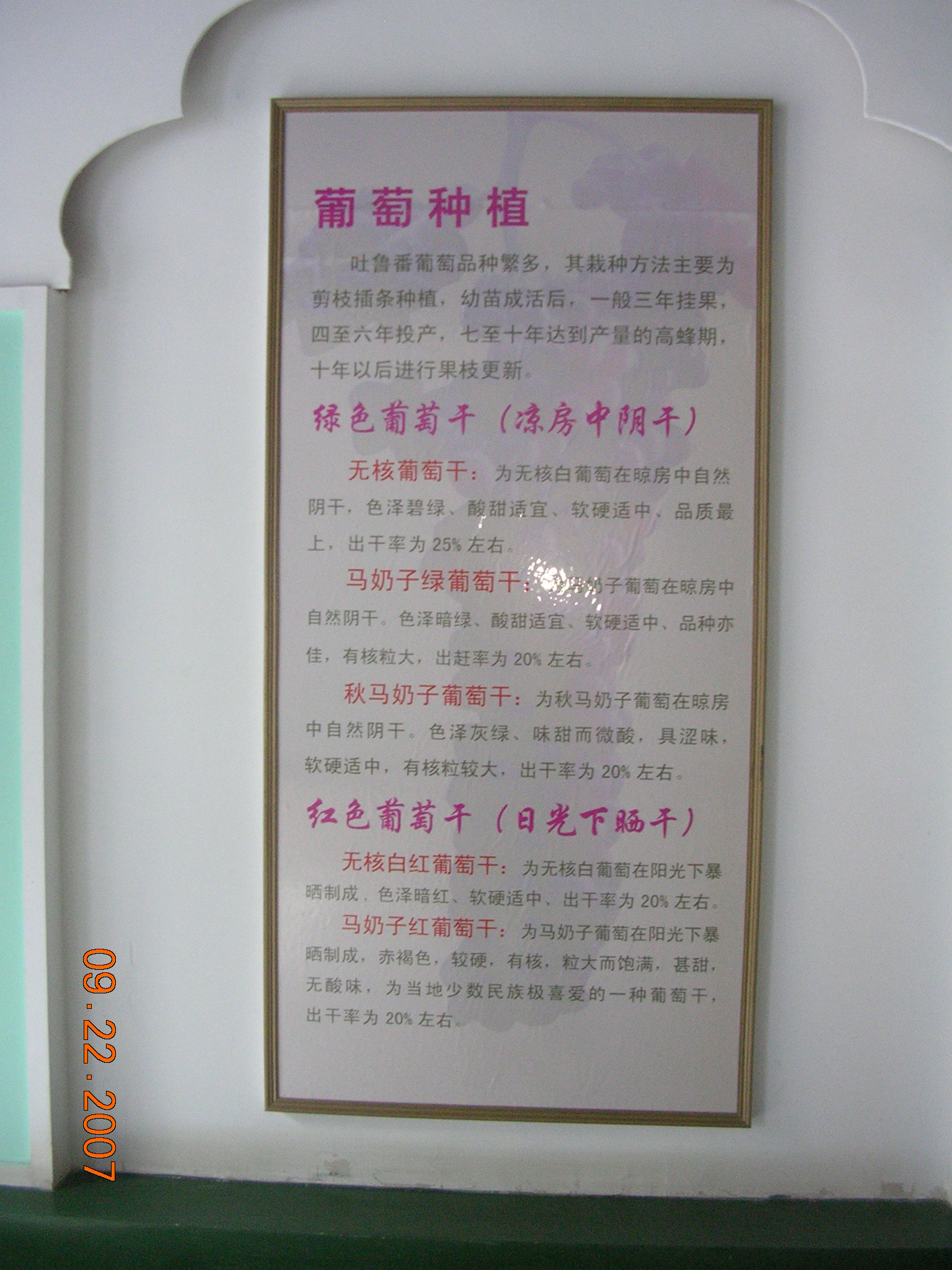 2007-Picture07-09-23A 269.jpg