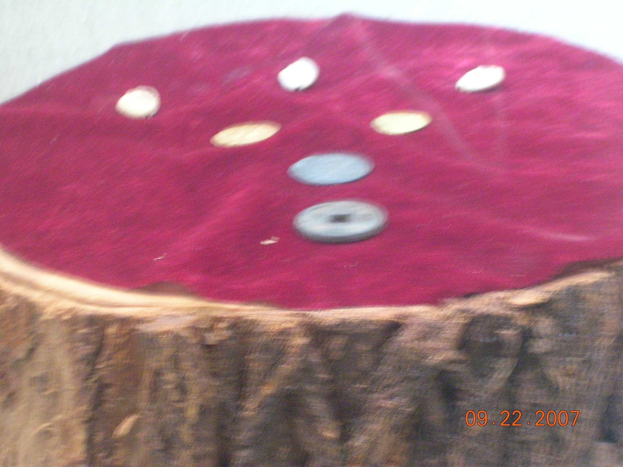 2007-Picture07-09-23A 345.jpg