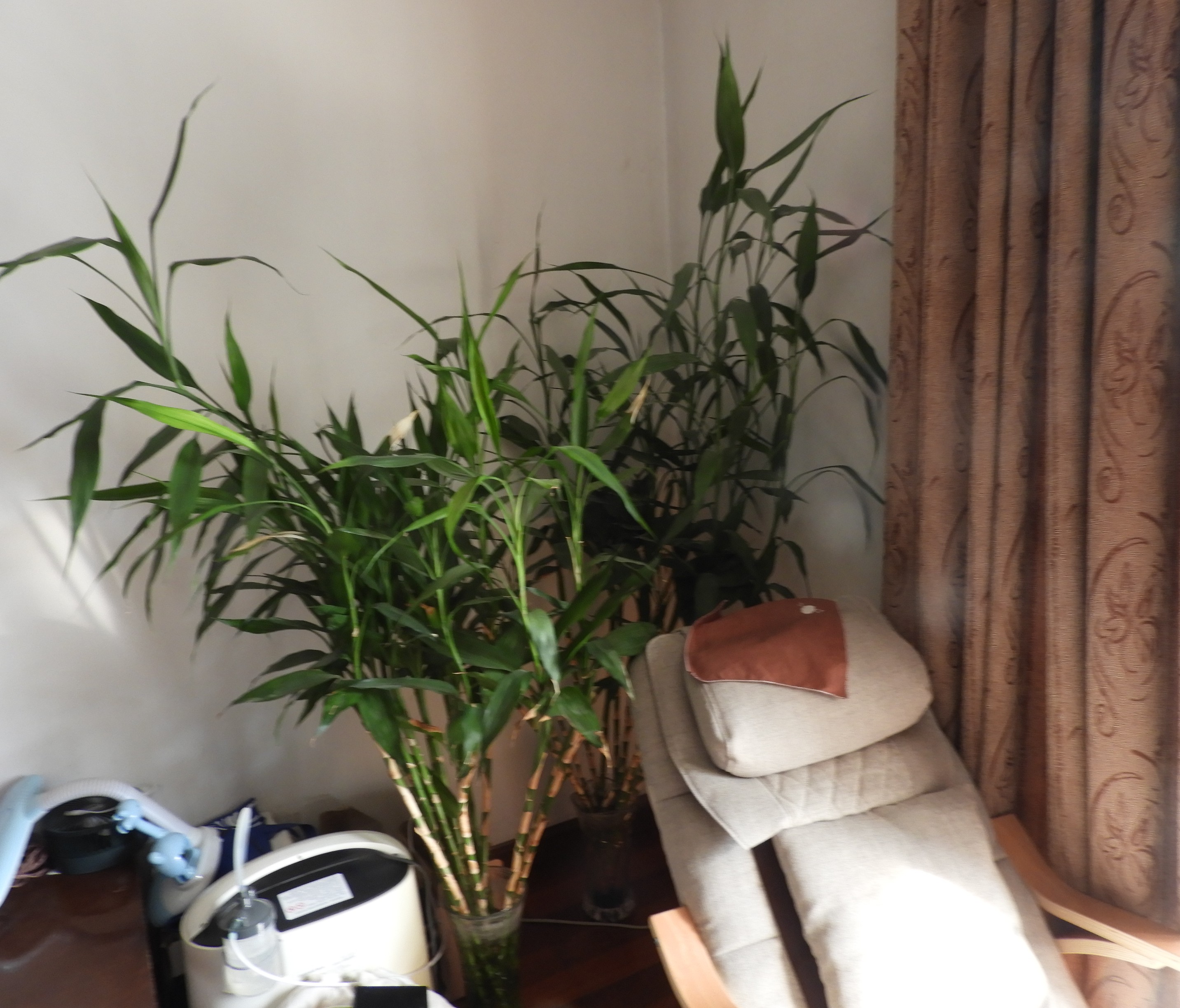 DSCN1706.JPG