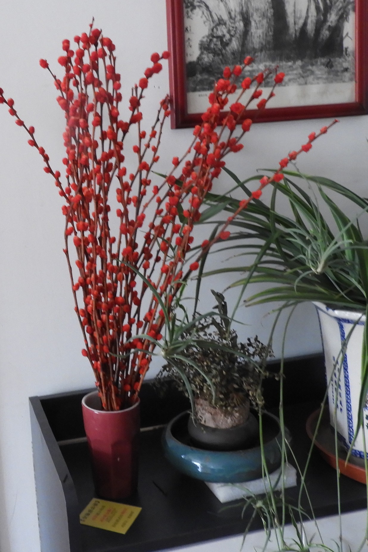 DSCN1707.JPG